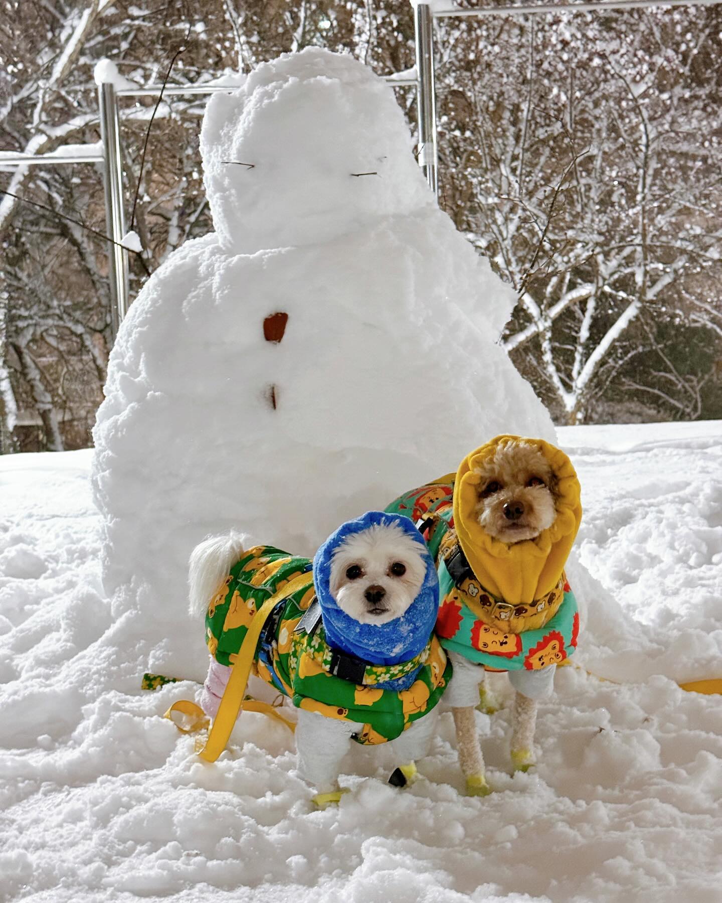 _
안되겠다!! 오늘은 나가자☃️