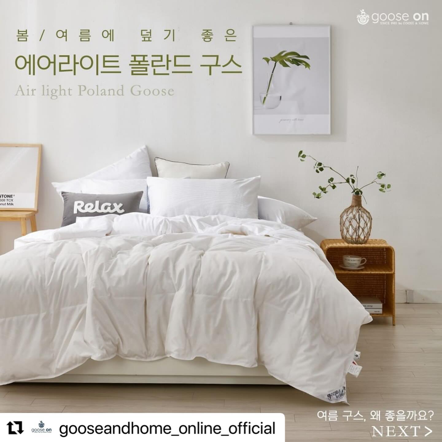 #Repost gooseandhome_online_official with use.repost
・・・
#구스온 

’에어라이트‘ 폴란드 구스이불
S 200g, Q 300g, K 350g
여름 구스를 10만원대에!

<여름 구스이불 바로알기>

1. 뛰어난 흡습성과 발산성
수면 중에는 신체에서 발산하는 열량을 감소하기 위해 신체가 스스로 체온을 낮춥니다. 
이때 체온 조절을 위해 땀을 배출하게 되고, 이렇게 발생되는 땀과 체온열은 수면을 방해하게 됩니다.
구스이불은 공기가 스스로 순환해 통기성이 뛰어나고, 쾌적한 잠자리를 유지하는 데 도움을 줍니다.
습기를 흡수하는 흡습성과 수분 및 열 발산성이 매우 좋아 적절한 체온 유지를 할 수 있도록 도와줘여름철 침구로 아주 적합합니다.

2. 구름과 같은 가벼움
이불은 수면하는 동안 몸을 압박하지 않을 만큼 가볍고 보온성이 뛰어난 소재를 선택해야 좋습니다.
‘에어라이트’ 제품은 세미마이크로 원단으로 제작되어 구름같이 매우 가벼우며 몸을 자연스럽게감싸주어 기분 좋은 숙면을 도와주는 구스이불입니다.
몸을 짓누르지 않는 가벼운 중량감은 원활한 혈액순환을 도와 피로도 완전히 회복하게 해줍니다.
.
.
.
얼리썸머특가 링크(프로필참고)>
https://smartstore.naver.com/gooseandhome/category/e6020eff6656498a8f465eaa58d537f7?cp=1