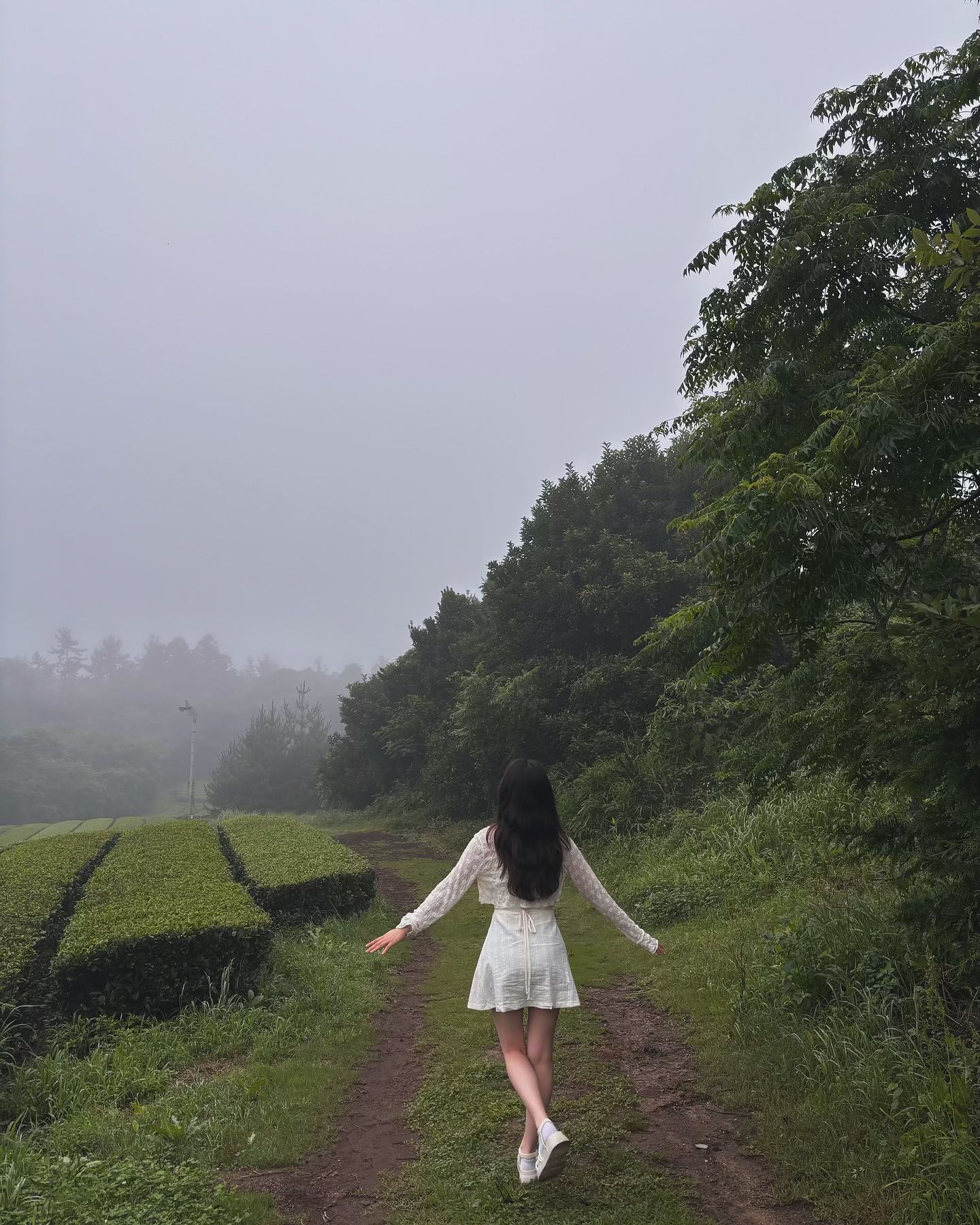 날씨 개쩌는 서귀포
.
.
.
.
.
#제주 #서귀포 #오설록 #산양큰엉곶