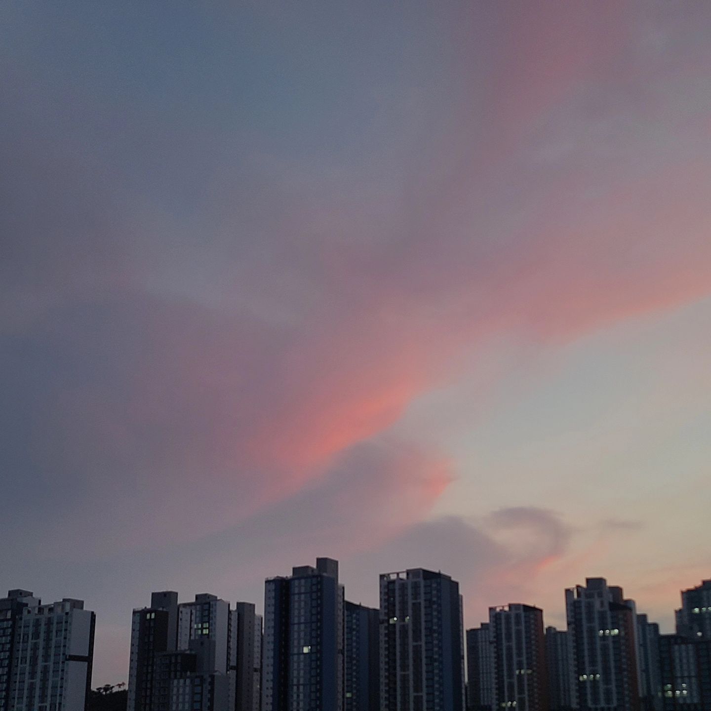 예쁜 하늘 🌫