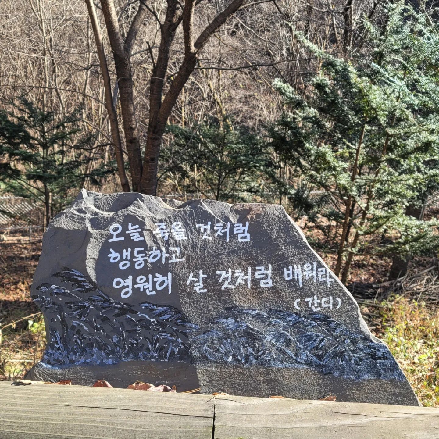 휴양림 명언