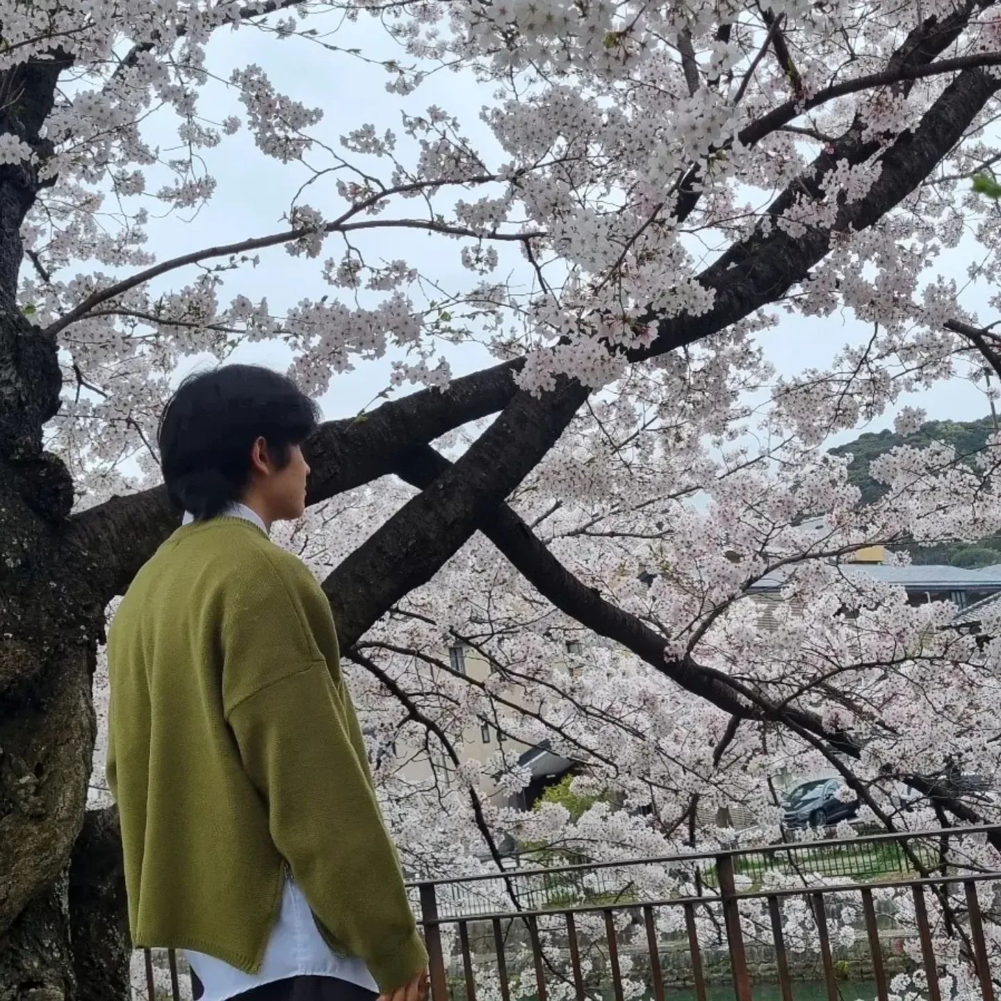 77ㅑ륵