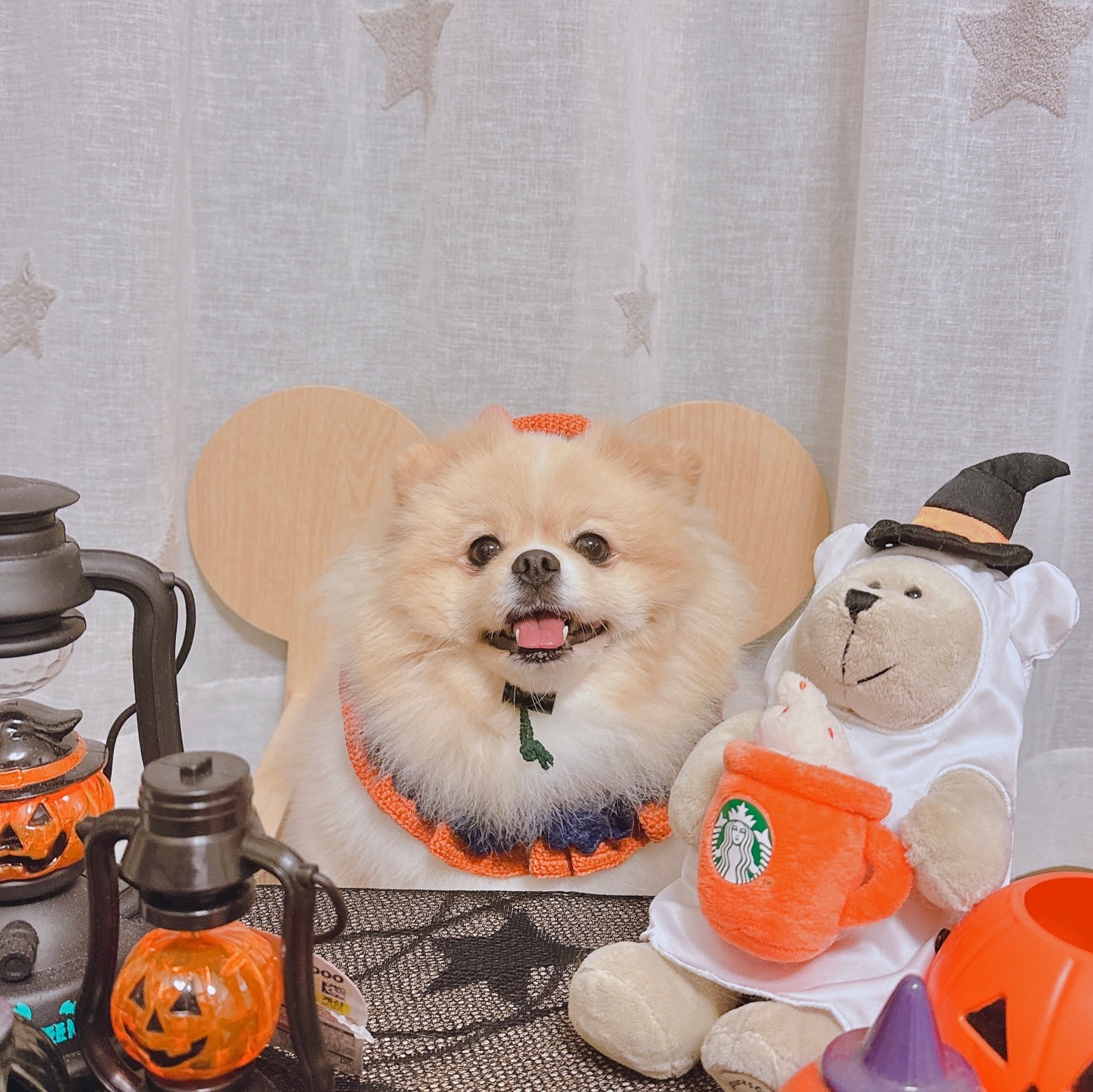 #라떼일상 #할로윈
𝑯𝒂𝒑𝒑𝒚 𝑯𝒂𝒍𝒍𝒐𝒘𝒆𝒆𝒏 🎃🧡
친구들 피드랑 비교돼서 안 올릴려다 그냥 올리는 ,,