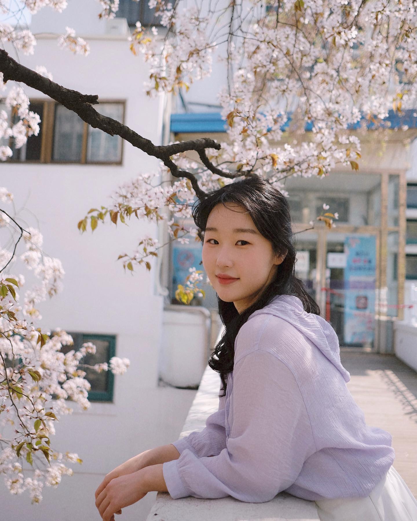 콘텐츠