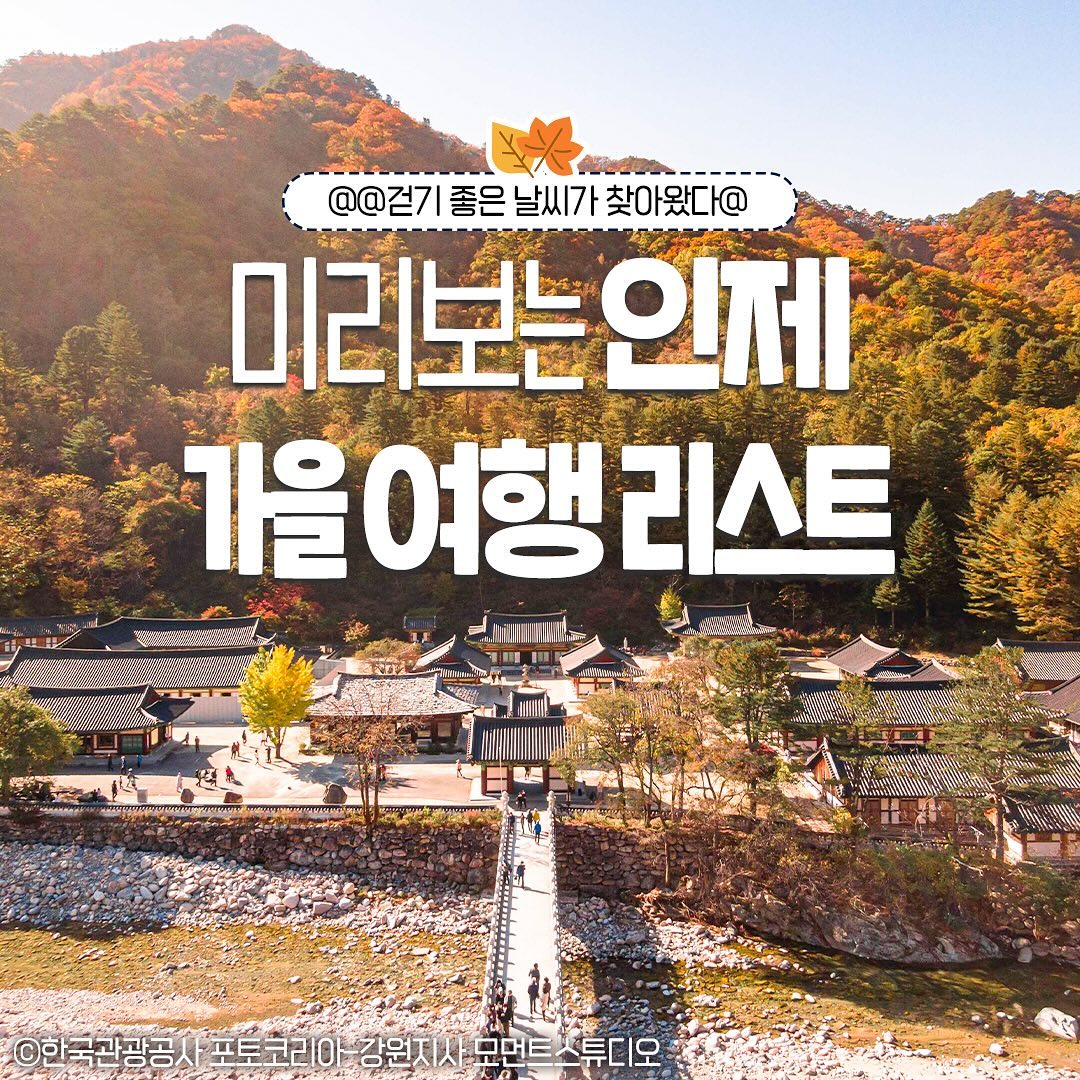 #지자체지원 #인제

’미리보는‘ 인제
가을 여행 리스트🍂
@걷기 좋은 날씨에는 여기!👀

🍂#속삭이는자작나무숲
역대급 분위기를 뽐내는 자작나무 숲에서 다양한 인생샷 가능!

🍂#인제설악산 #설악산
등산길에 보이는 폭포와 전경이 아름다운 등산 추천코스 

🍂#곰배령
제주도 오름이 연상되는, 시원한 시야를 자랑하는 곳

🍂#방태산자연휴양림
 근처에 전망대와 등산코스가 조성되어 있어 즐길거리가 많음 

🍂#비밀의정원
몽환적인 분위기가 가득해서 전경샷은 무조건 찍어야 함!

🍂#백담사
단풍드는 백담사에서, 가을 산책도 하고 재밌는 컷까지★

🍂#기적의도서관
2만 권이 넘는 어마어마한 양의 책들이 있는 인제 핫플 >.<

🍂#스마트복합쉼터
선선한 가을에 주말 드라이브 코스로 좋은 강원도 여행 코스!

🚩#인제가을꽃축제
-일시 : 2024. 9. 28.(토)~10. 20.(일)
-장소 : 인제군 용대관광지 일원
.
.
.
#인제가을여행 #국내여행 #국내여행지 #가을여행지 #인제관광명소 #인제데이트 #인제단풍 #인제등산코스 #인제가을꽃 #인제핫플 #인제축제 #대한민국구석구석 #인제여행 #강원도여행 #인제여행지  #인제가볼만한곳 #강원도