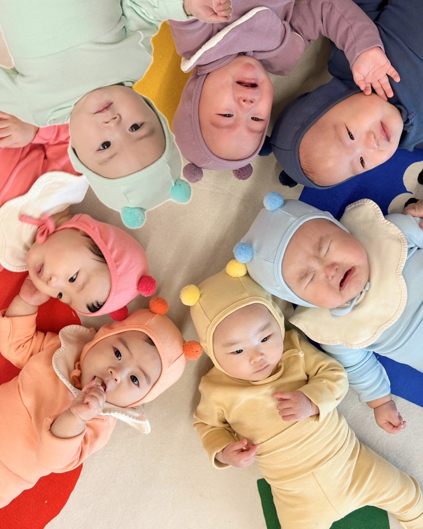 완전체 무지개 귀엽 조동아리들 ❤️🧡💛💚🩵💙💜