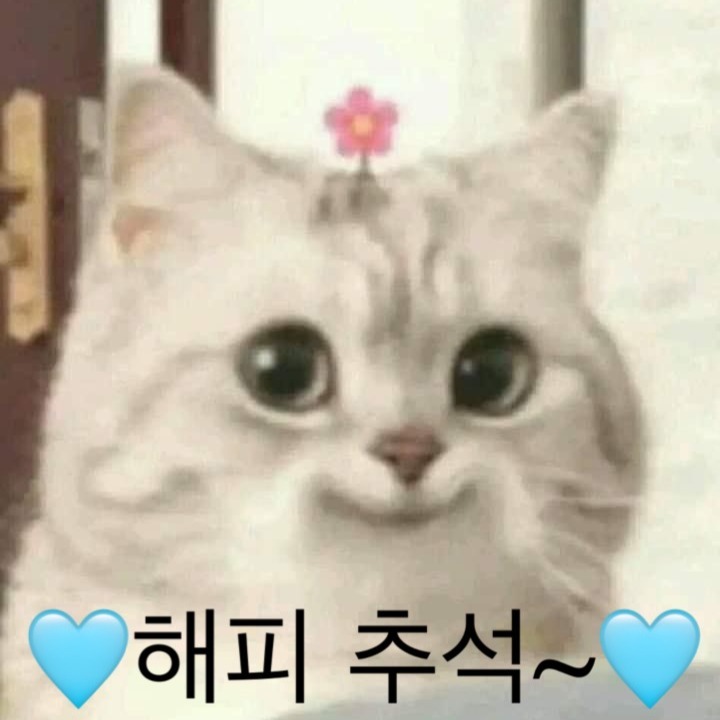 결 오픈하고 첫번째 맞이하는 한가위네요🩵

이번 연휴 오픈 공지하겠습니다!

연휴내내 오픈합니다. 🩵
*추석 당일은 정상영업*
 목,토는 단축영업이에요!

28,30일 10:00 - 18:00 
29일(추석 당일) 10:00 - 22:00

모두들 해피 추석~🩵