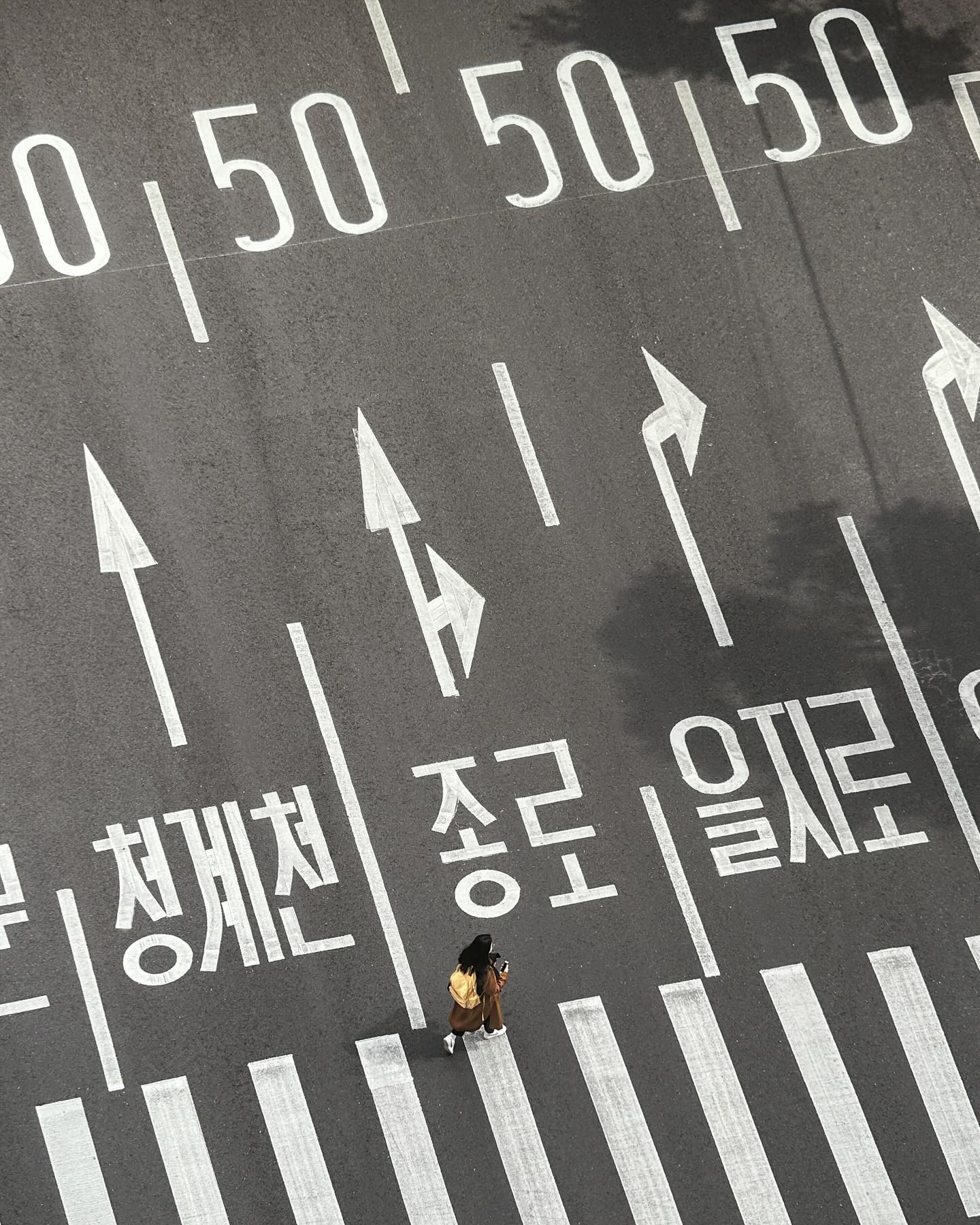 콘텐츠