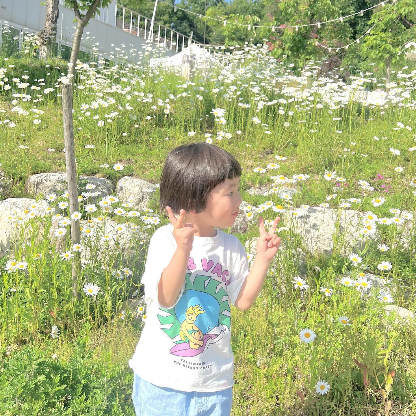 #로이랑놀자 

샤스타데이지 숨은 명소🌼

포토존 사진 찍으러 갔다가 정원에 펼쳐진 데이지 꽃밭에 정신 못차리고 무한 사진 찍었어요ෆ 유명한 카페 포토존도 너무 예쁨쓰
주말에 방문했더니 플리마켓도 진행하고 있었어요😊

📍카페 앙그랑
경기 용인시 처인구 원삼면 원양로124번길 82

#아이랑갈만한곳 #아이랑가볼만한곳 #샤스타데이지 #샤스타데이지명소 #데이지명소 #샤스타데이지카페 #카페앙그랑 #용인카페 #용인아이랑가볼만한곳 #아이랑가기좋은곳 #아이랑카페 #아이랑나들이
