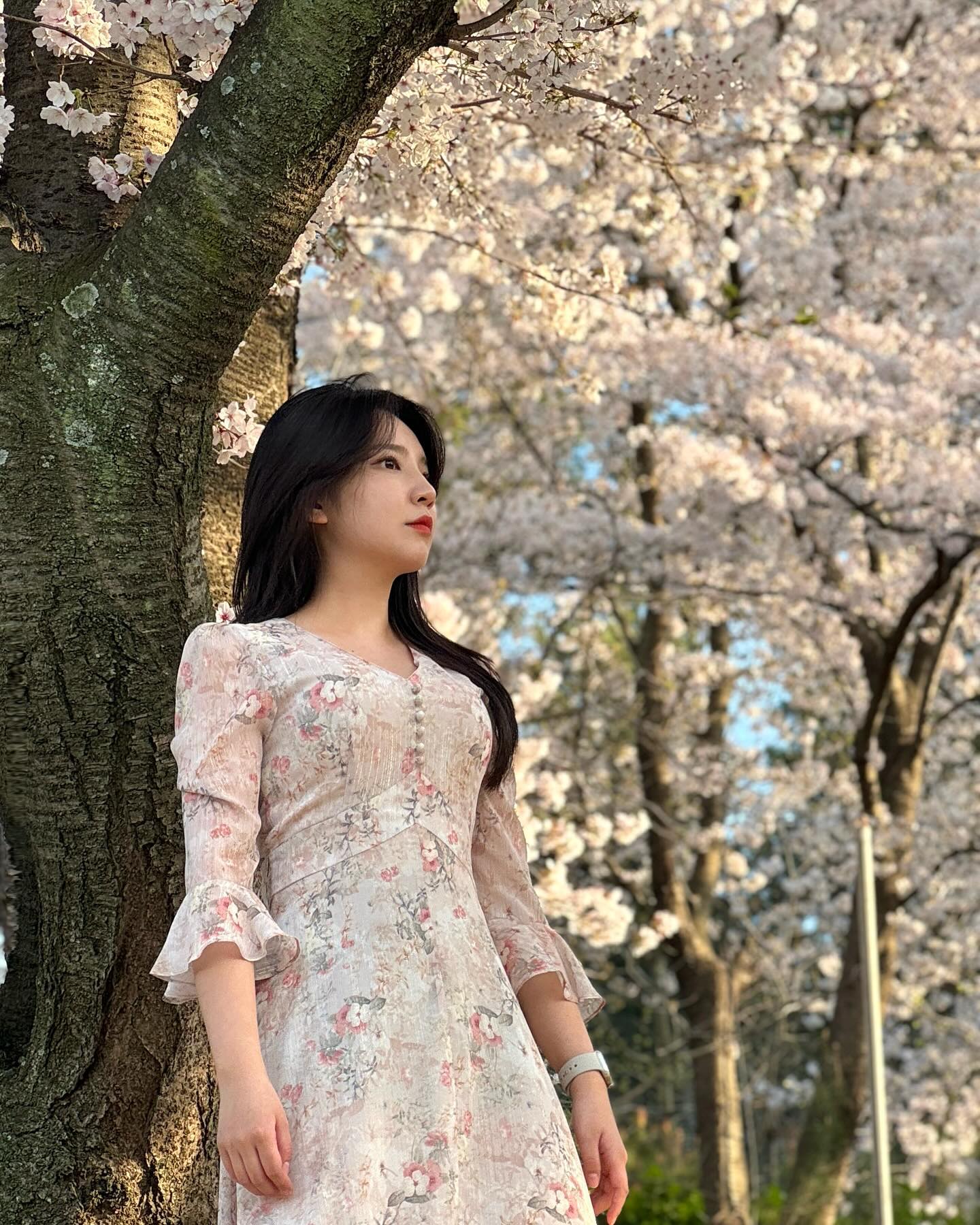 생존 신고용 벚꽃🌸
 
 
 
 
#벚꽃#벛꽃🌸#벚꽃스타그램#경주#경주벚꽃