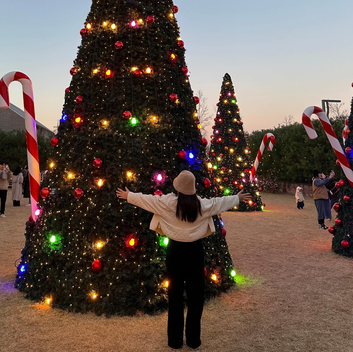 코딱지만큼 즐긴 나의 겨울🎄☃️