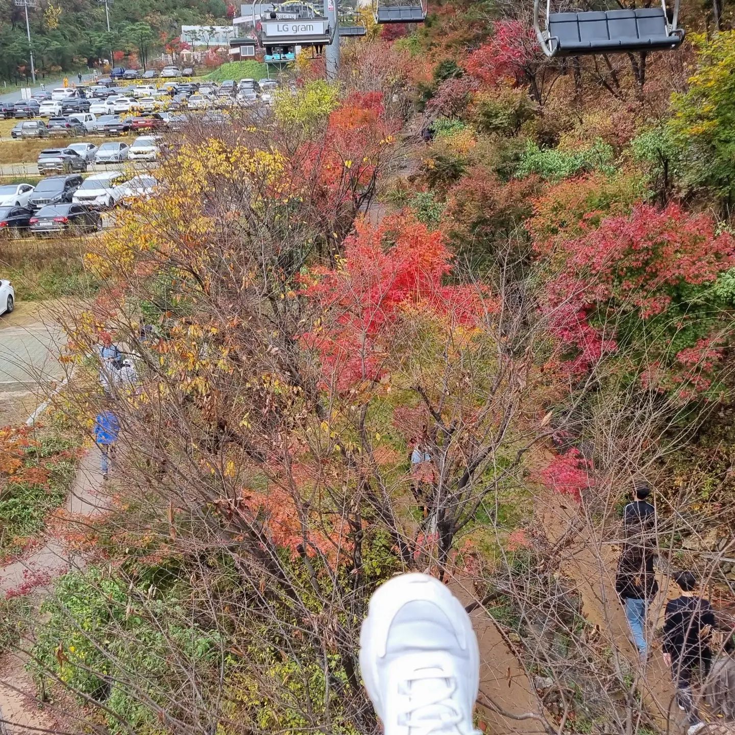 #단풍구경 다했다!
#화담숲 #가족나들이
내가해냈소 티켓팅
ㅋㅋㅋ
20231105