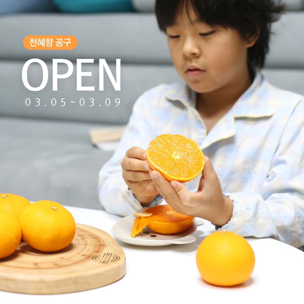 저희 둘째는 겨울&봄철만 되면 손바닥과 발바닥이 노래요~
이유인즉슨, 만감류를 많이 먹어서인데요.

귤부터 시작해 천혜향, 황금향, 레드향, 한라봉 가리지 않고 정말 많이 먹기 때문에 만감류 고르는 입맛도 꽤 까탈스러운 편!

그래서 저도 맛이 괜찮다는 업체 서칭해서 사다나르고 있는데, 
이번에 저희 식구들 만장일치로 "여긴 진짜 맛있다!"라는 업체를 찾았어요~!
맛있는 건 혼자 먹을 수 없다는 오지라퍼의 신념으로 🤭
또 공구를 가져왔어요.

늘 먹거리에 진심인 제가 추천할 정도면 솔직히 믿고 선택하셔도 괜찮을 것 같아요 😍

📌제가 선택한 귤낭 제철 맞은 천혜향은
효돈 위미 지역에서 재배한 제품이에요. 
효돈 위미라고 하면 만감류가 맛있기로 유명하기 때문에,
제주 귤 좀 드셔보셨다 하시는 분들은 이 지역에서 재배한 과일이라면 더 묻지도 따지지도 않고 선택하실 정도~!
사실 저도 이부분 믿고 구매했는데 진짜 믿음 그대로 맛있더라고요.
비교를 위해 컬*에서 당도보장된다는 #천혜향 주문해서 비교해봤는데 귤낭 제철 맞은 천혜향 압승 ㅎㅎ

📌이렇게 압승을 할 정도로 맛이 좋은 이유는,
대량 선별이 아닌 매일 아침 맛 체크를 통해 선별하고 발송하기 때문이랍니다.

📌단순히 맛만 좋은 게 아니라
강제후숙, 강제착색, 강제왁싱도 진행하지 않는다는 거~!

📌배송시 터지거나 파손되는 등의 상품 문제 발생시 100% 책임지고 A/S를 진행하고 있으니 배송 부분도 신경쓰지 않아도 된답니다 ^^

📌이렇게 장점 많은 상품이니 '가격이 비싸겠지?'라고 생각하실텐데요.
3kg 가정용 (12과 내외) / 29,900원
5kg 가정용 (25과 내외) / 46,900원 으로 굉장히 합리적이예요
물론, 무료배송입니다~

고물가 시대에 과일 하나 사먹기도 힘들었는데 맛있는 천혜향을 이 가격에 만나볼 수 있으니 진짜 좋은 기회가 아닐까 싶어요. 
개인적으로 저희집처럼 과일 좋아하시는 분들이라면 무조건 5kg 추천해요.
가정용이지만 선물용으로도 손색없을 정도로 장점이 많은 제품이니 친한 분들을 위한 선물용으로도 추천드려요.

📌오전 8시까지 주문하시면 당일 출고 되고,
출고시 구매자에게 출고 문자도 바로 발송되니 걱정 No No~!
기상 상황에 따라 1~2일 정도 지연될 수 있는데 이 또한 따로 연락을 해드리니 큰 걱정은 안하셔도 될 것 같아요.

공구 진행은 3월 5일부터 3월 9일까지 딱 5일만 진행하니,
맛있는 천혜향 드시고 싶으셨던 분들이라면 이번 기회 놓치지 마시길 바래요~
프로필 링크를 통해 구매할 수 있어요.🤗

#천혜향 #천혜향공구 #천혜향판매 #천혜향선물 #맛있는천혜향 #천혜향가정용 #천혜향먹방 #천혜향추천 #천혜향3kg #천혜향5kg