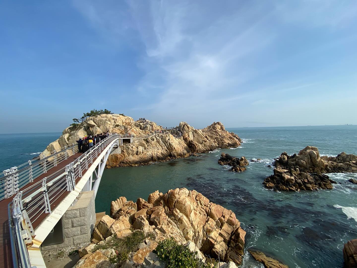 #트립앤미 #3월여행가는달 #국내여행패키지 울산여행 필수코스인 울산 대왕암공원은 출렁다리와 소나무 그리고 해안데크뿐만아니라 해안절벽이 정말 장관이네 #울산핫스팟 #국내여행추천 #주말여행