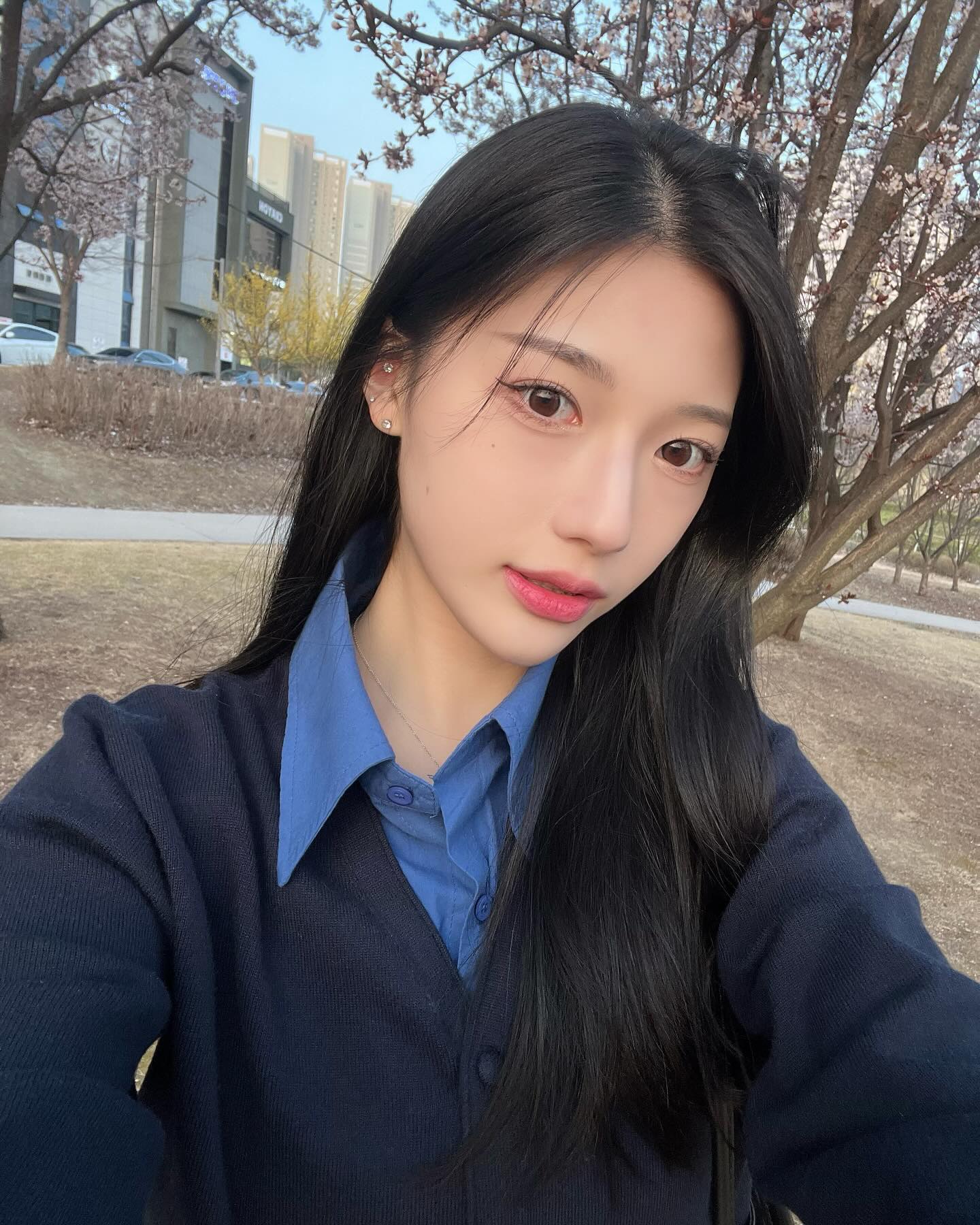 벚꽃 이 보인다? 일단 찌거 🌸☘️🐤🐤