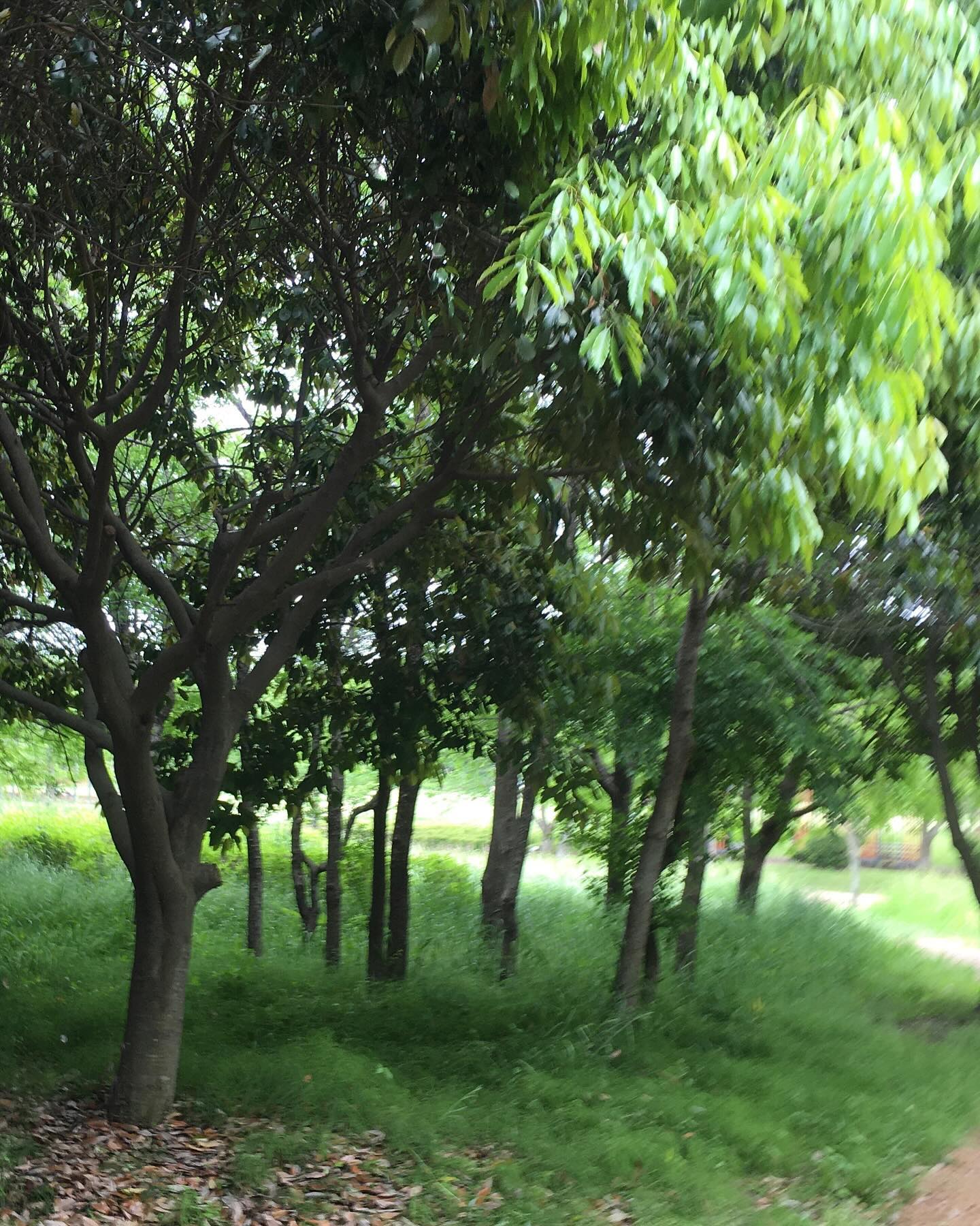 5月 12日