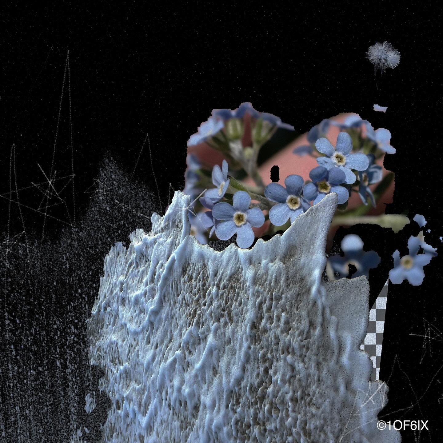 봄은 작은 모래알
.
.
1of6ix