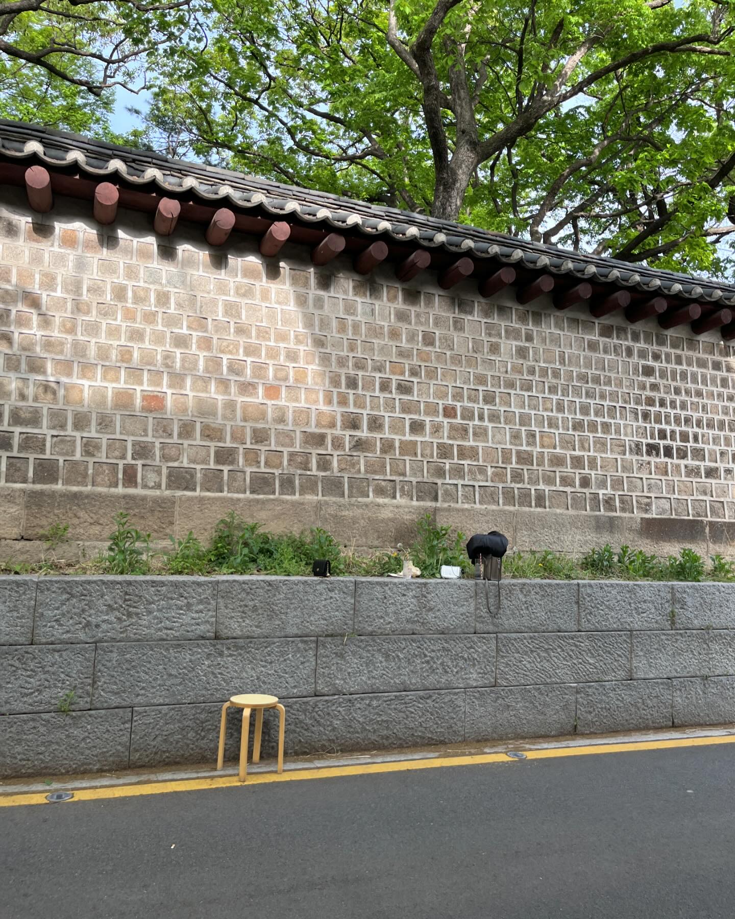 우행시🕊️🍃🤍