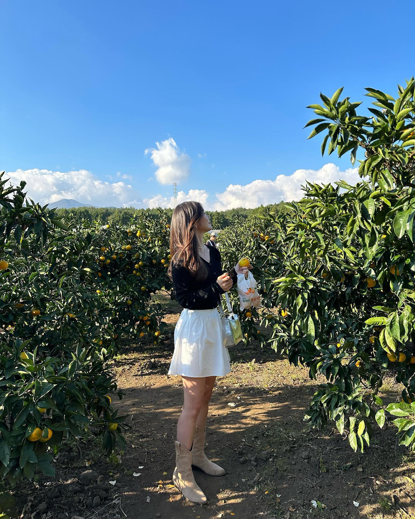 제주에서 귤체험을 할 수 있는 #휴애리자연생활공원 으로 가요 ! 🍊🤍 
가족들이랑 갔더니 너무 행복했다아... 🎁 

한봉지 가득 가져가기도 하구 , 따고 그자리에서 바로 먹으면 진짜 새콤달콤 최고 🫢🧡 

💌 귤따기 체험
9월 25일 - 1월말까지 
💌 휴애리 핑크뮬리 축제 
9월 15일 - 11월 15일 

⏰ 입장마감 16:30 | 공원마감 18:00 
🎟️ 네이버에서 예약시 10% 할인까지