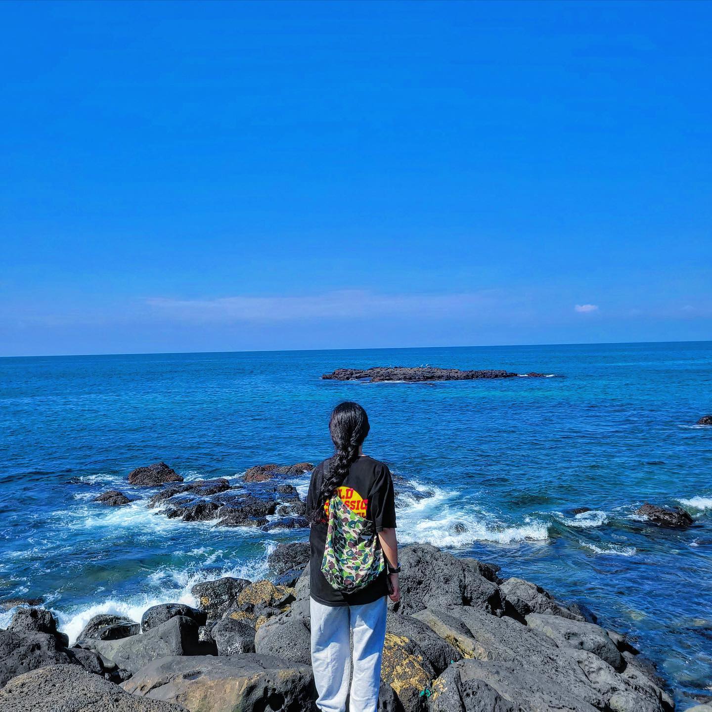🐬돌고래 50마리 봤당 🐬🐬🐬