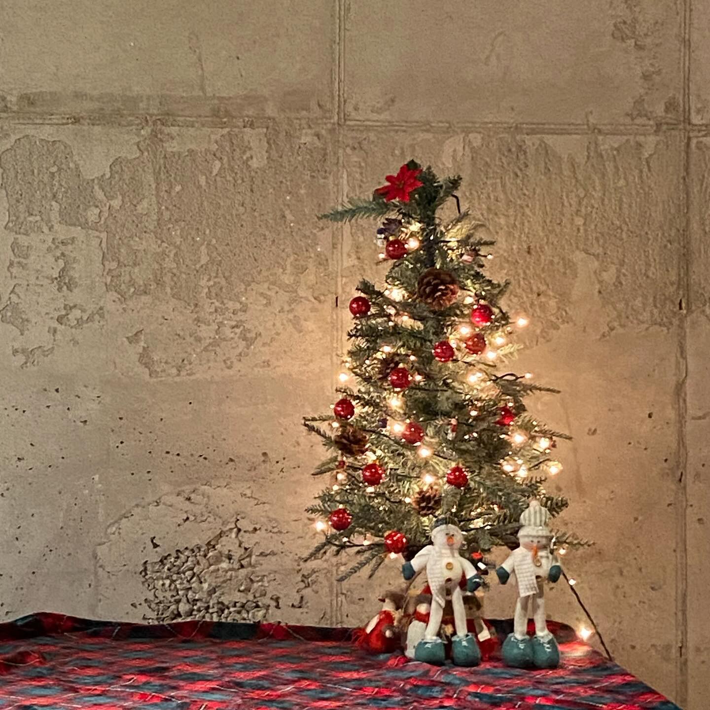 배를 다 채우고 나서야 눈에 들어온 귀여운 트리 🎄 
작은 크리스마스 맛보기 꺄