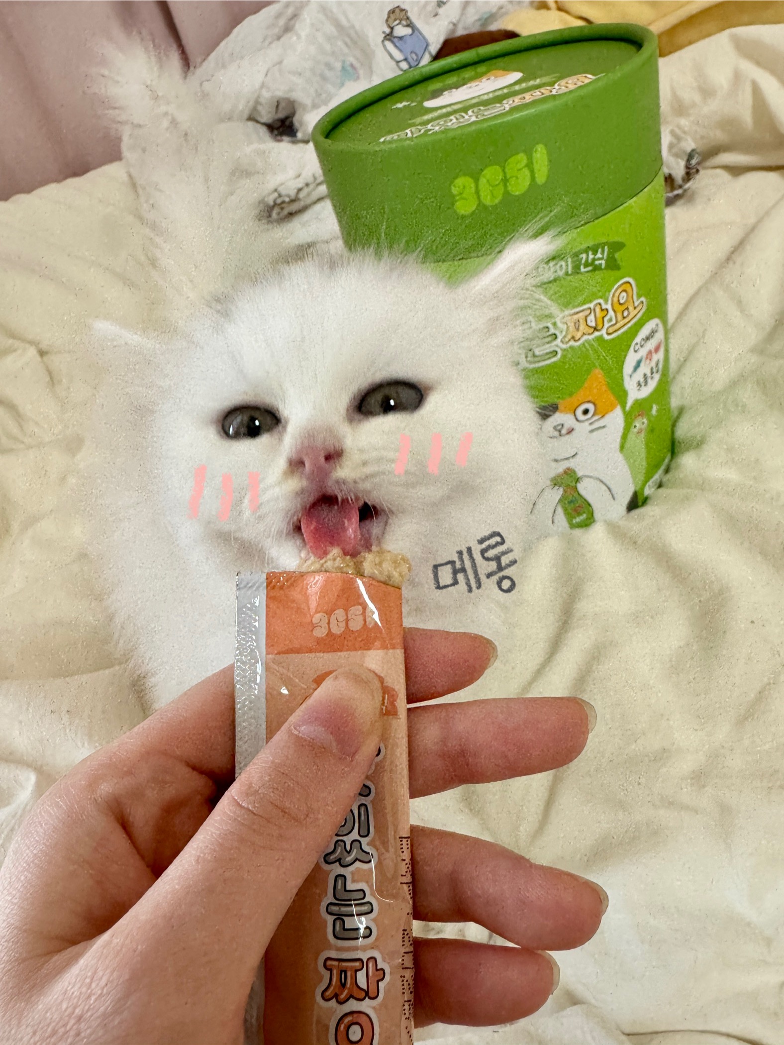 콘텐츠