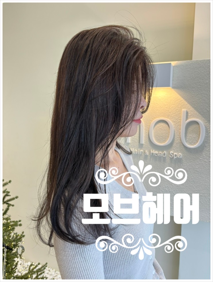 세종뷰티) 겨울 한톤 헤어 염색은 나성동 미용실 ' 모브헤어 '