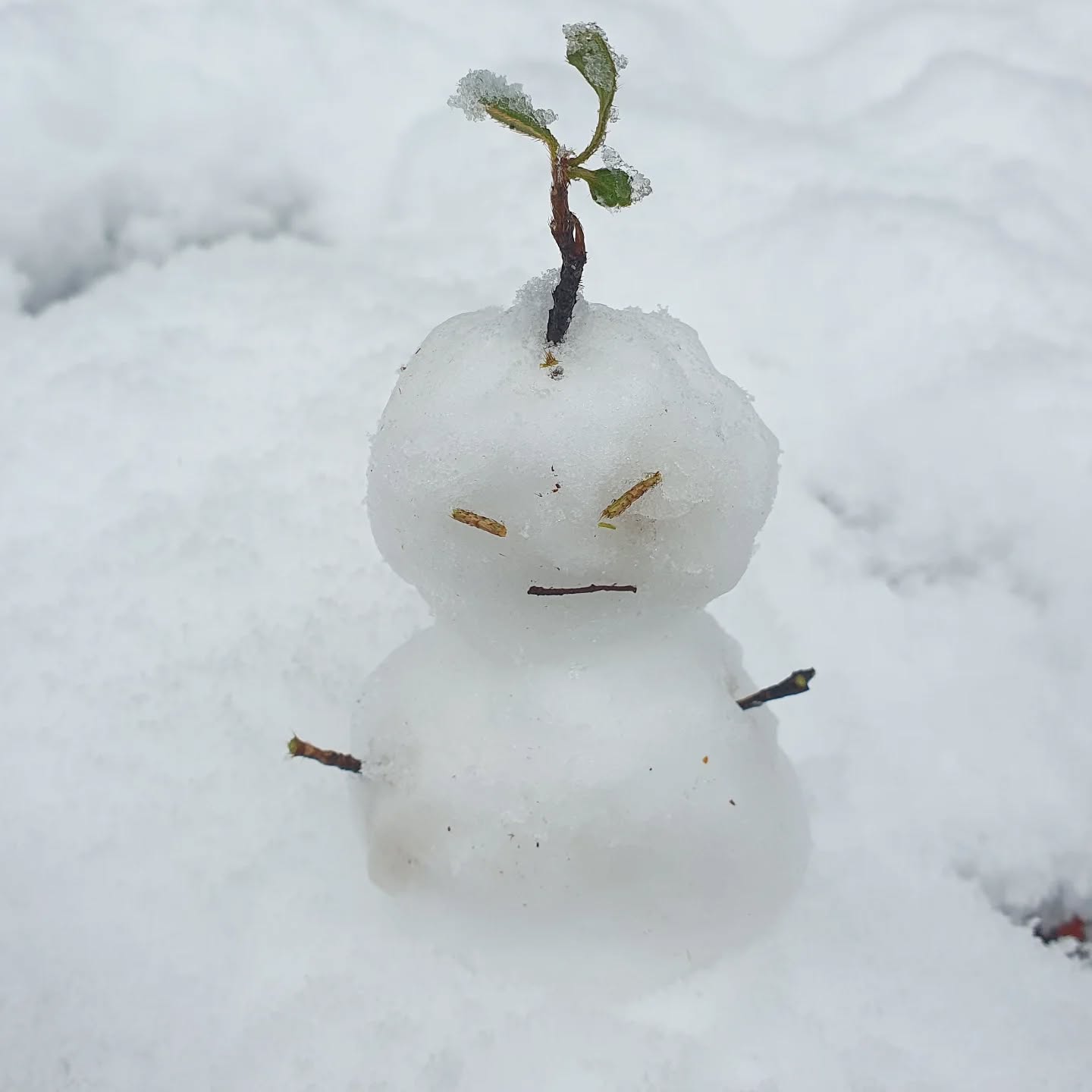 첫눈일까요?ㅎ
작년에 이어 올해도 어김없이 눈사람 만들기ㅋ~
나름 귀엽당.ㅎ

#첫눈 #눈온다  #눈사람  #귀여운눈사람