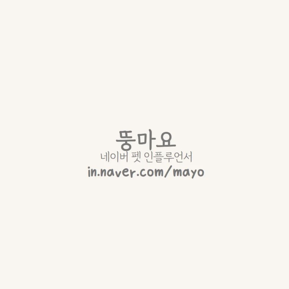 다시 열심히 블로그를 써보자
네이버 펫인플루언서
@뚱마요 놀러오세요🩷
#네이버인플루언서 #뚱마요