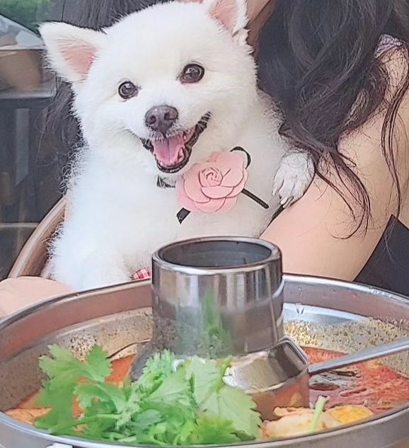 사랑해용🩷