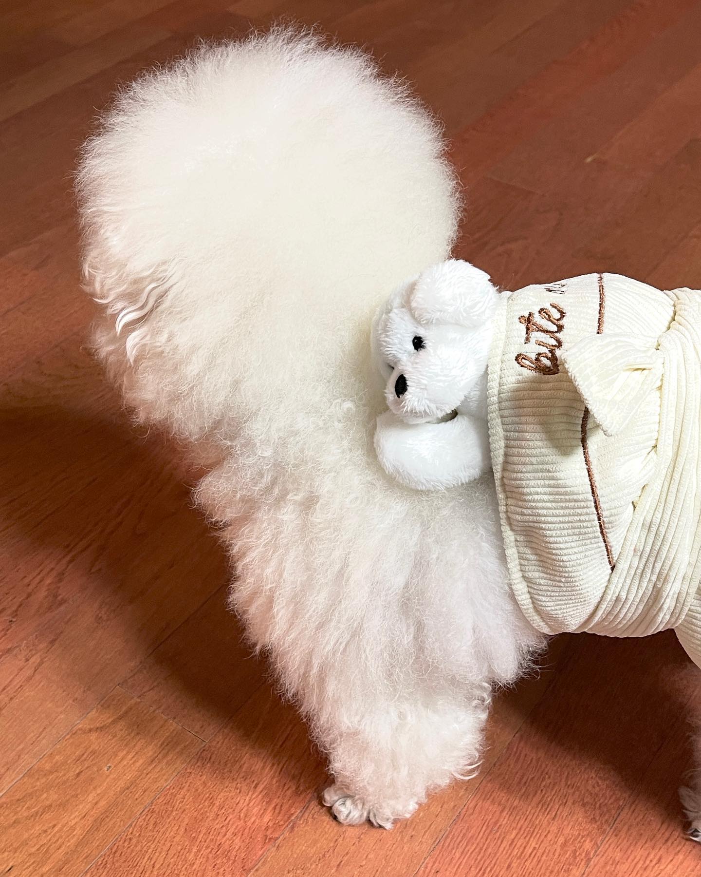 내 등에 누구야???

#바잇미 #내동생어부바
