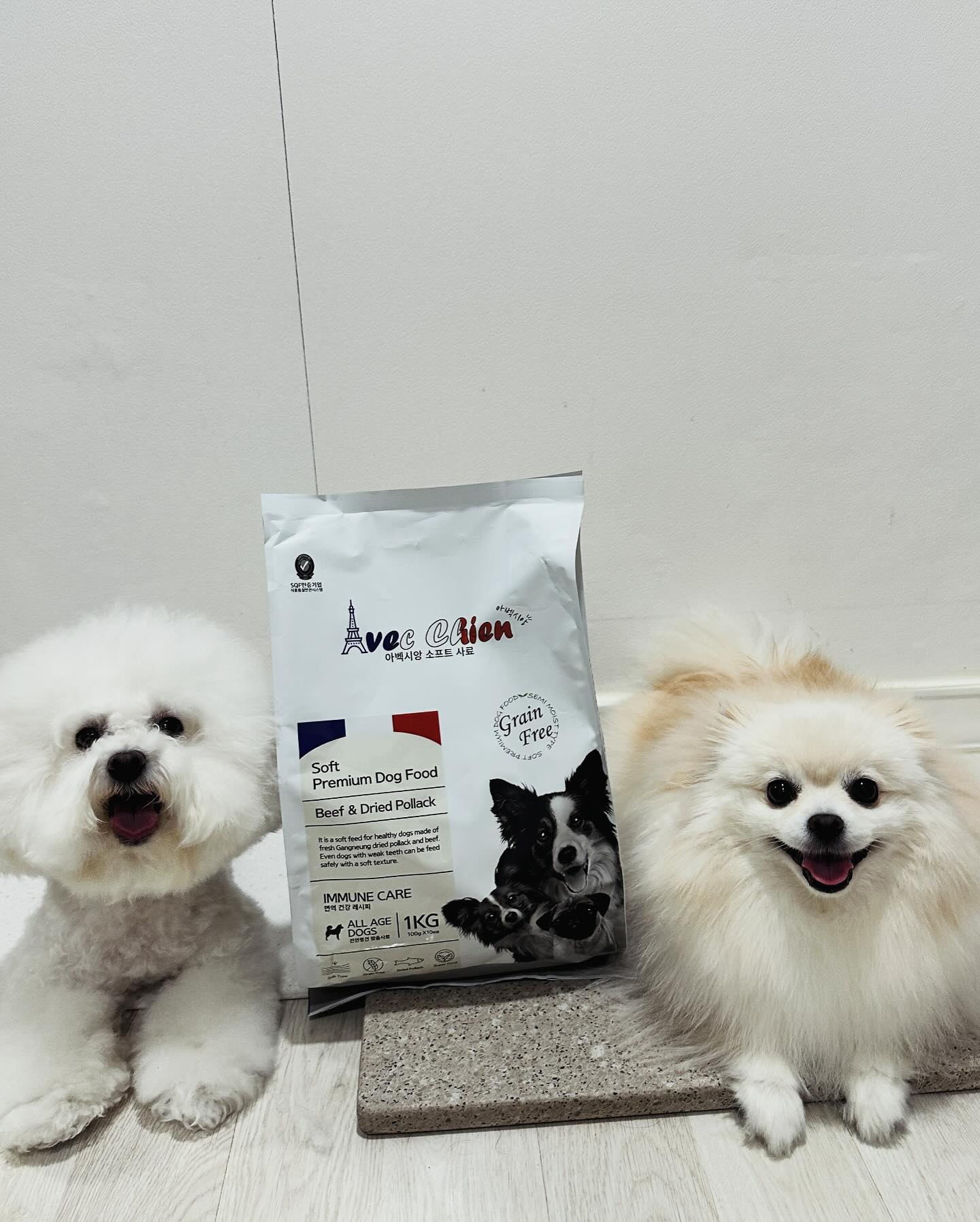 #협찬 avecchien_kr
말자 문어가 요즘 푹 빠진 소프트 사료!
반 습식 소프트 사료라서 이빨이 안좋은 강아지들도 맛있고 편하고! 부담없이 먹을 수 있어요!
무엇보다 국내 생산 제조로 더욱 믿고 안전하게 급여 가능한 아벡시앙 소프트 프리미엄 사료~
.
기호성도 좋고, 탄수화물 비율을 줄여서 곡물 알러지를 최소화한 사료입니다!
사료를 만들때 일반 정제수가 아닌 미네랄 워터를 사용해서, 영양 만점 사료에요~
.
소화기가 약한 강아지들도 안전하고 편하게 먹을 수 있어요!
소프트한 식감으로 편식 심한 강아지들에게도 추천하는 아벡시앙!
.
#소프트사료 #기호성좋은 #아벡시앙 #노령견사료 #강아지사료 #말랑촉촉 #기호성갑 #반습식사료 #김지민사료 #강아지사료추천 #애견사료 #반려견사료