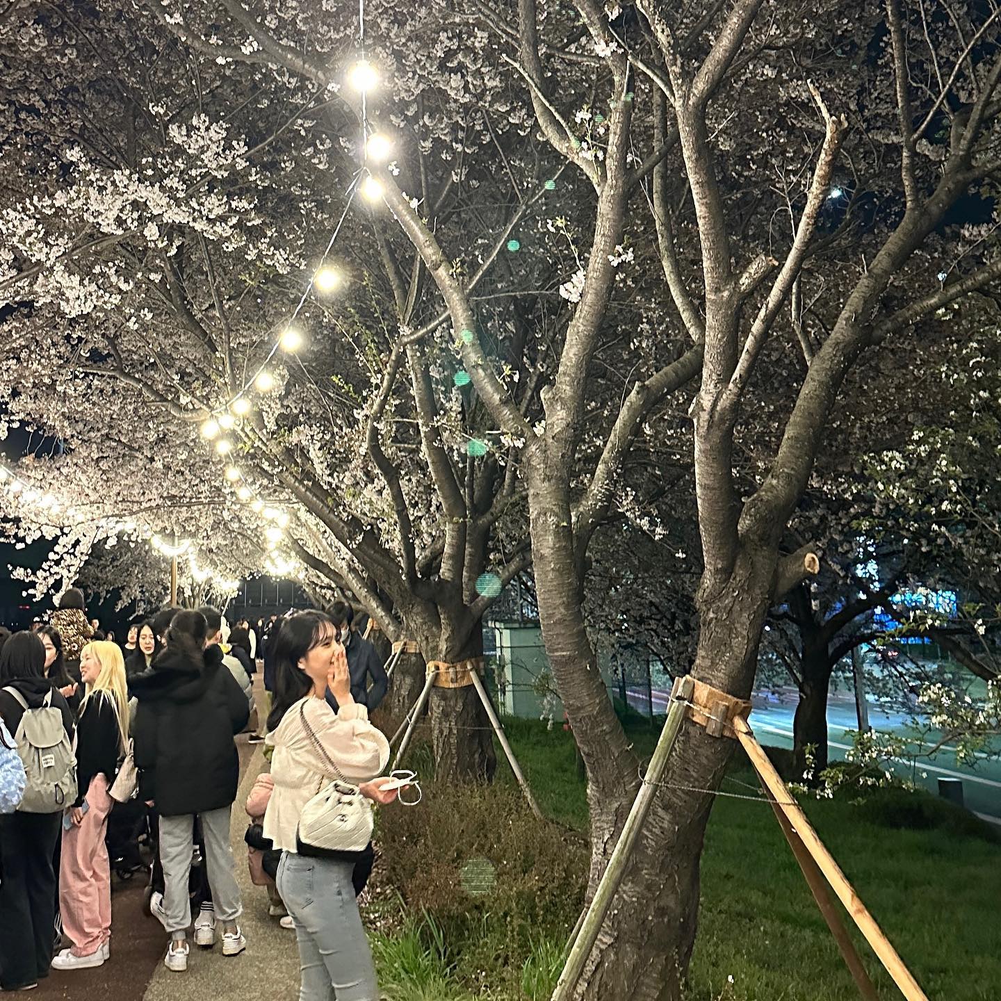 남편 생일선물 고마와🤍🤍
로아랑 두번째 봄🌸
할무니 할부지랑 함께😘
사람 너-무 많았지만 이뻤다✨🎀