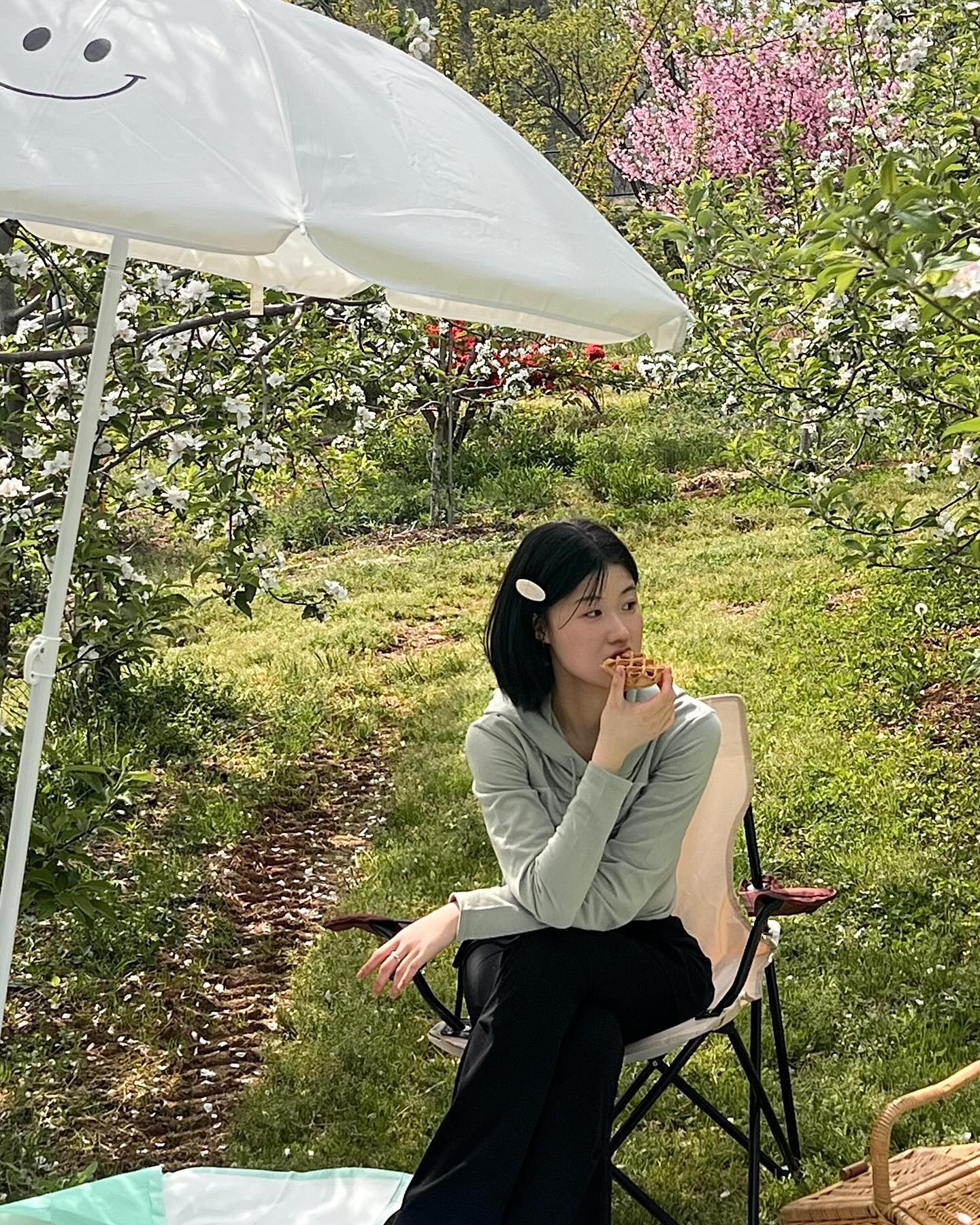 열한 번째 봄 🌿🧺🐶🌸
