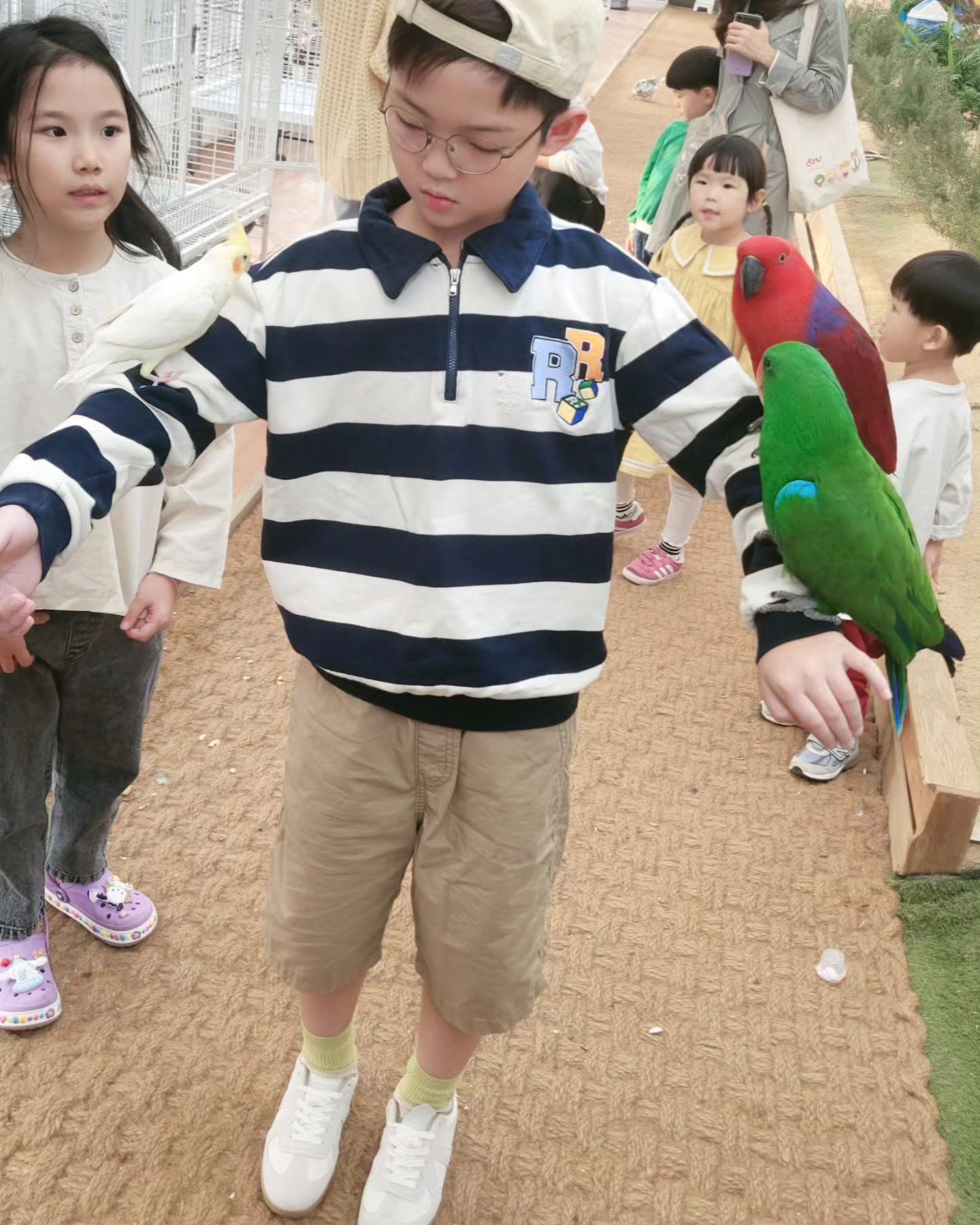 지난주에 이어, 오늘도 앵무새보러가자고 난리🦜

첫날엔 좀 무서워하더니~오늘은 겁도 없이 팔을 내어주기도 하고, 양손으로 잡기도 하는 너🫢

마감시간까지 새들과 교감하는 너...지치지도 않나봐..😅

가자...집에 좀....배고프다고...💀