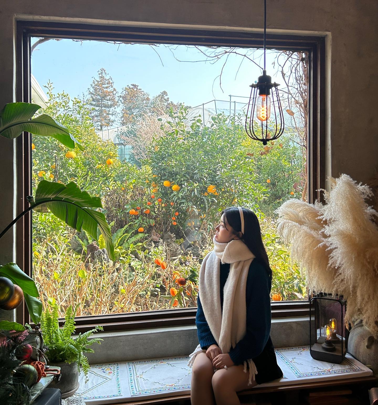 콘텐츠