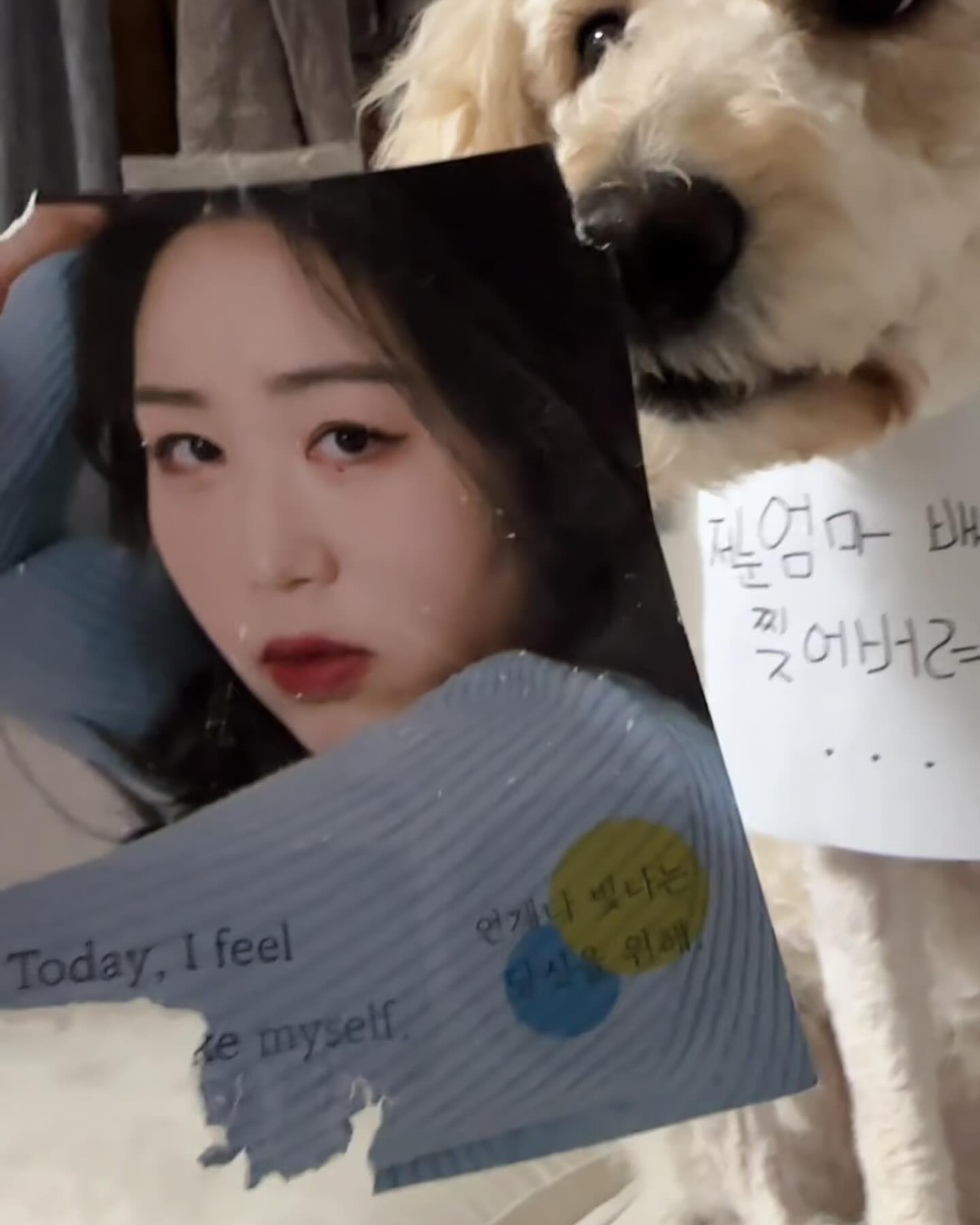 너…미워….진짜….

#배우 #배우프로필 #배우프로필사진 #찢어졌다 #아니 #찢겼다 #🥲
