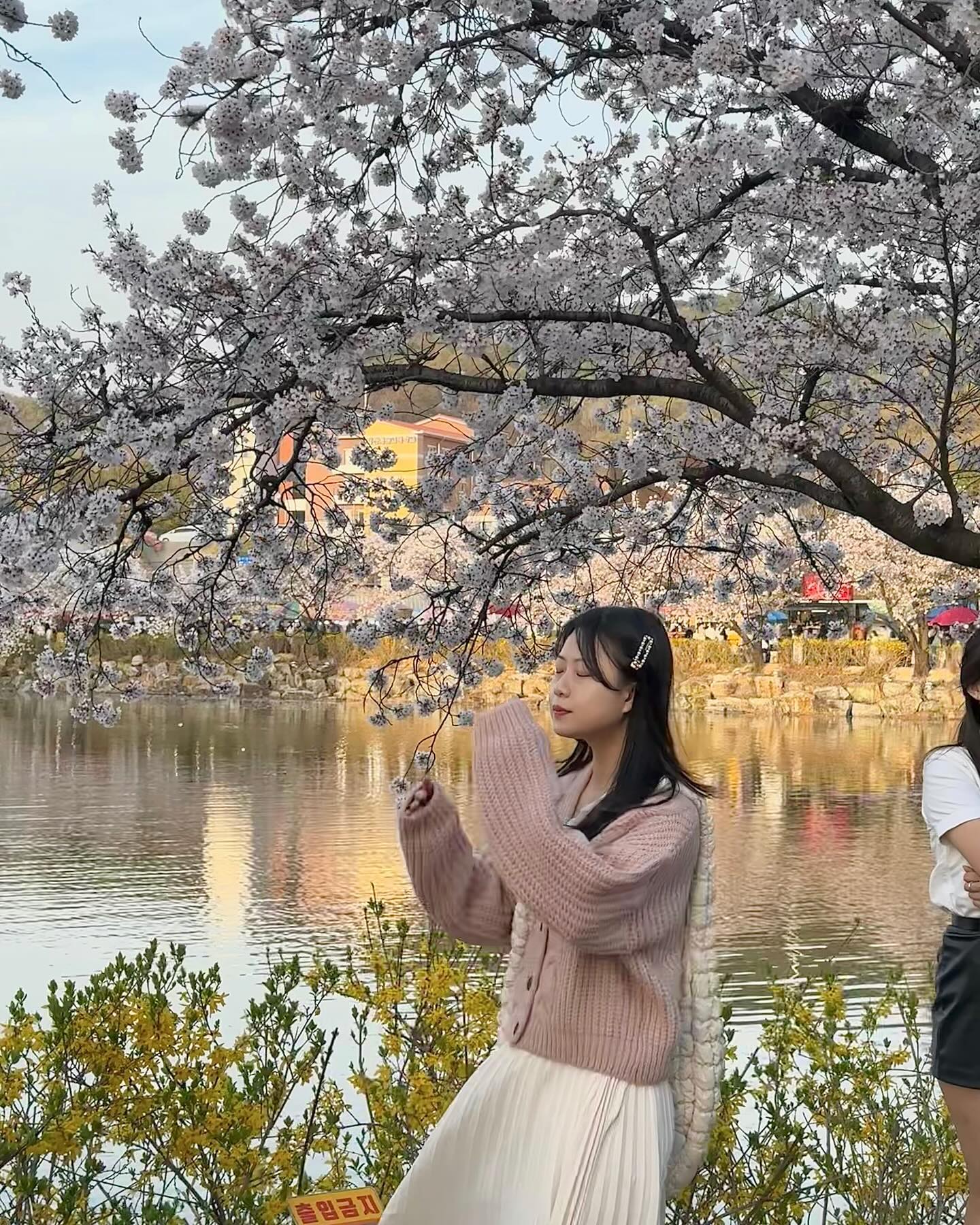 벚꽃보다 사람이 더 많았다 헥헥
같이 꽃놀이 와줘서 고마워💕
__hyeobeee