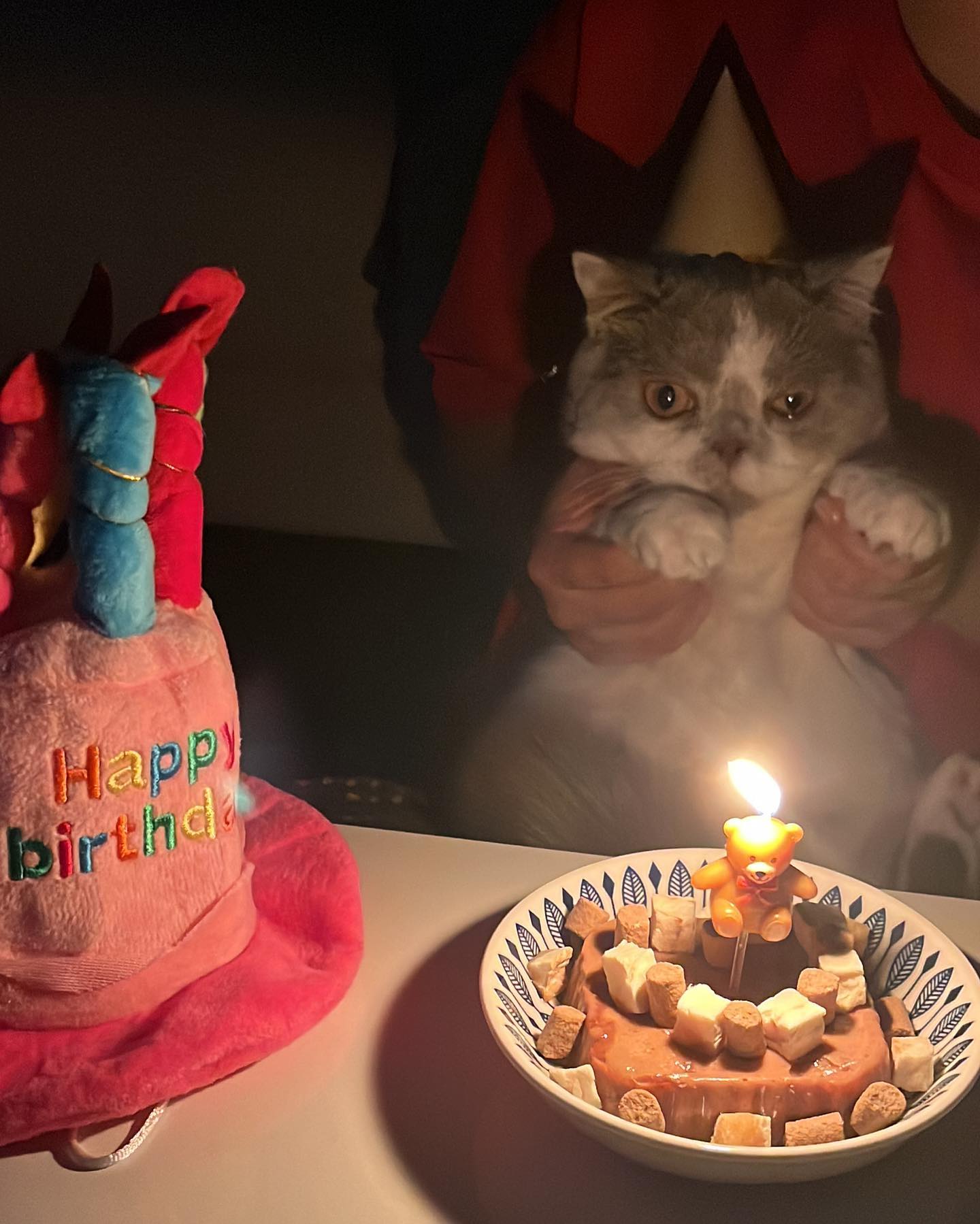 아가 만득이의 1살 생일날🎂🤍

집에서 조촐하게 생일파티를 열었어요 !

집사가 만든 하찮은 케이쿠...^_ㅠ

항상 건강하게만 자라줘 우리 막둥이🤍

#만득 #생일 #축하해 #🎂