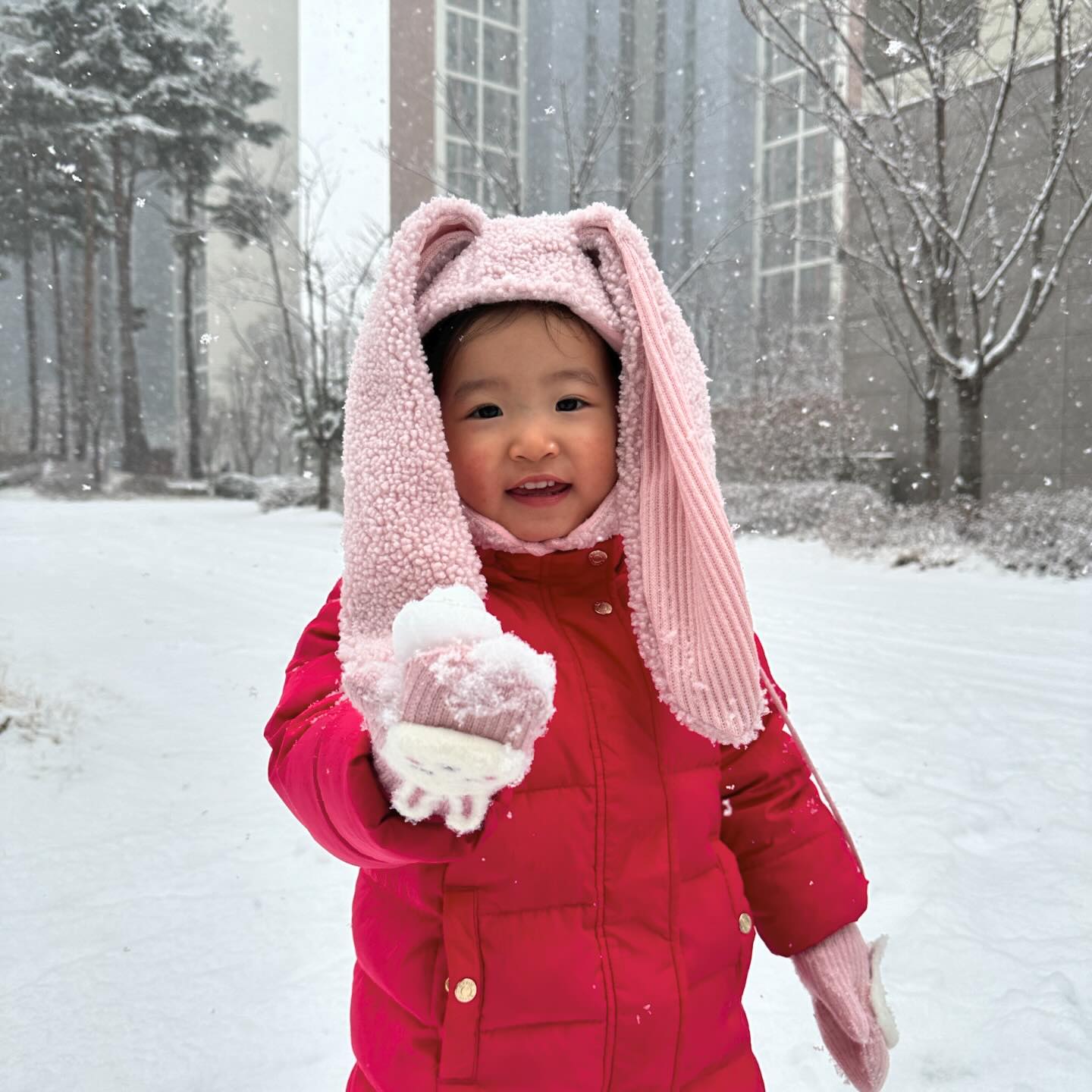 #❄️

우리집 토깽이
그리고 까불이