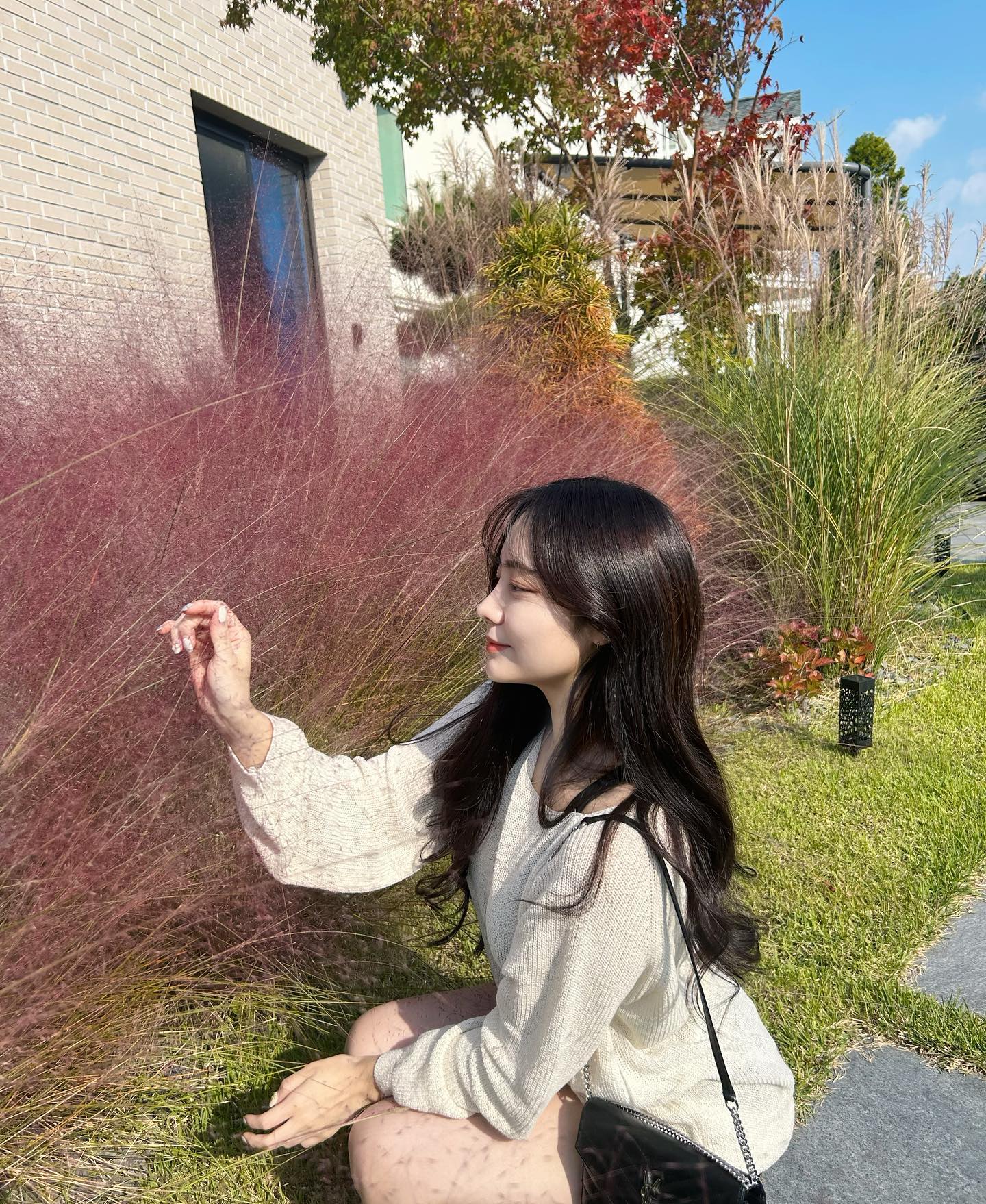 외딴섬 울집 최애 핑크뮬리존💗
#핑크뮬리