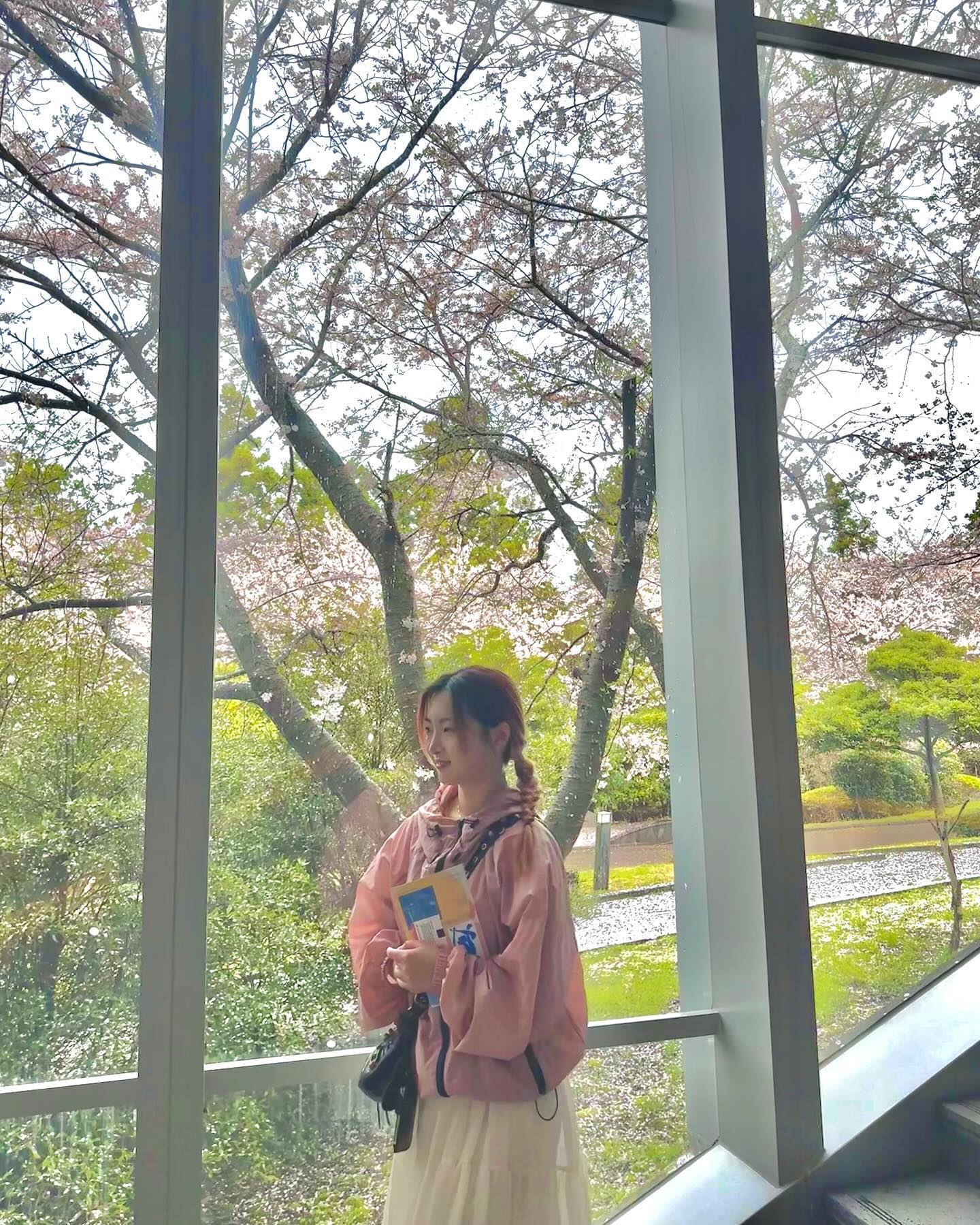 첫사랑 재질 ㅋ 

-
-
-
-
#제주#제주여행#제주도립미술관#벚꽃#🌸