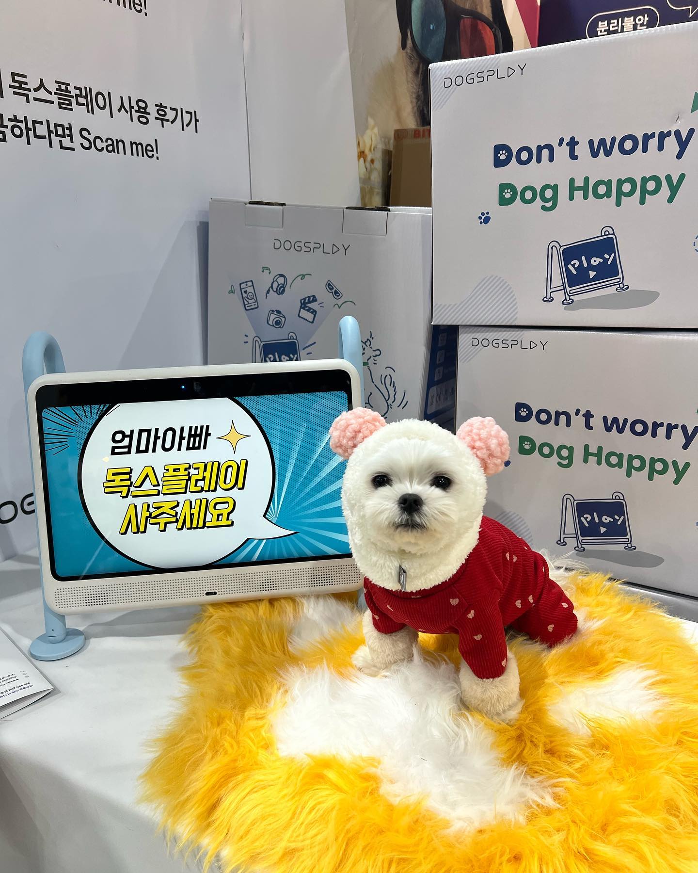 #독스플레이#서울펫쇼