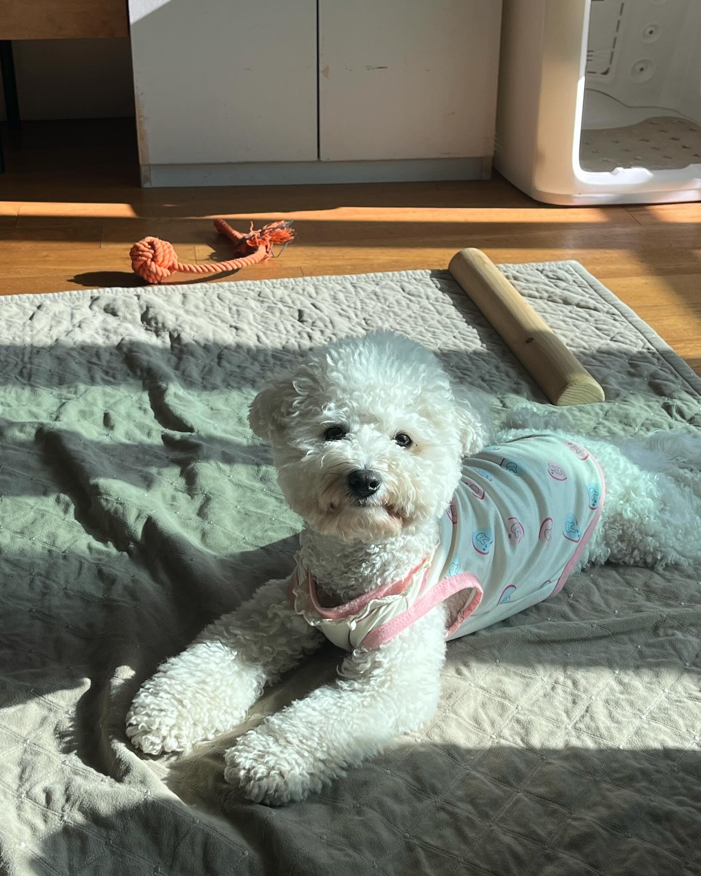 햇살 좋당☀️