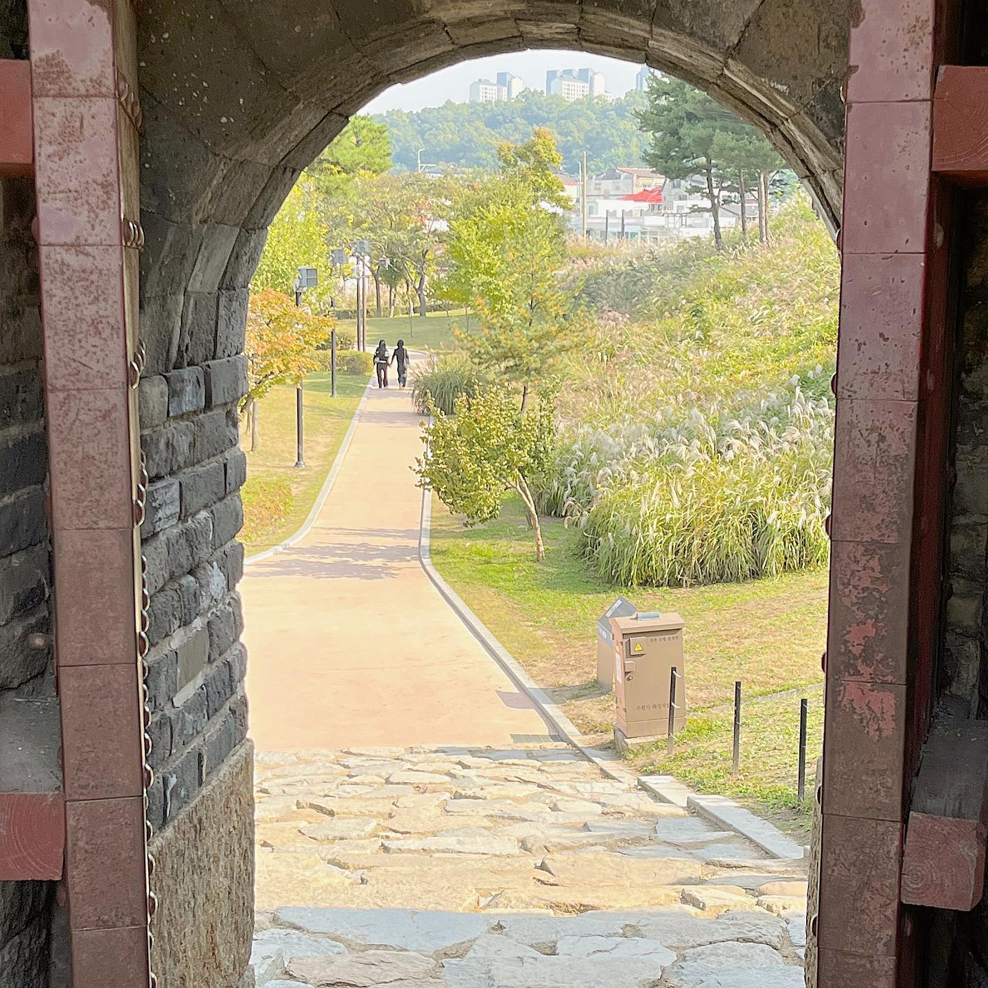🤎
가을을 만끽할 수 있는 행궁동 억새 스팟이에요. 
수원 화성 성곽길따라 뷰가 아름다운 곳, 데이트 코스로 또는 가족과 함께 걷기 좋은 코스랍니다. 

#수원화성 #수원화성행궁 #행궁동억새밭 #행궁동데이트 #행궁동가볼만한곳 #수원가볼만한곳 #방화수류정
