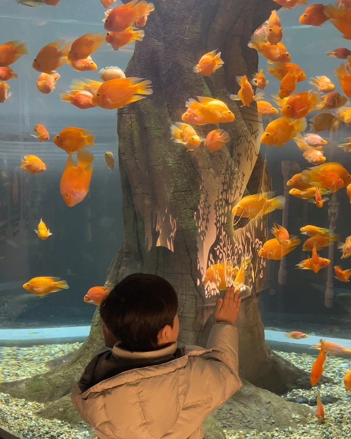 #대전엑스포 #아쿠아리움 🐠🐟🐡
