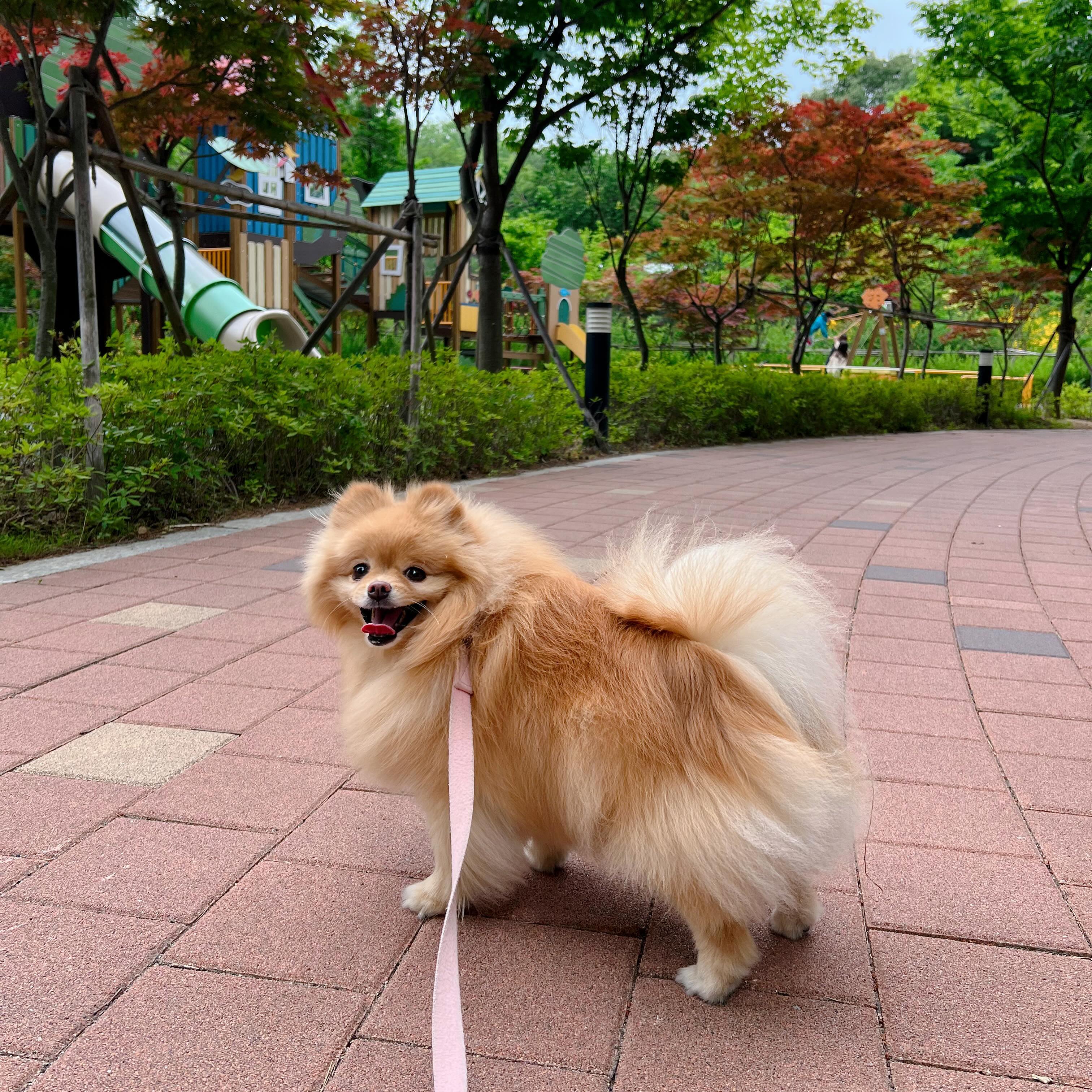 보리야 행복해?🫶🏻