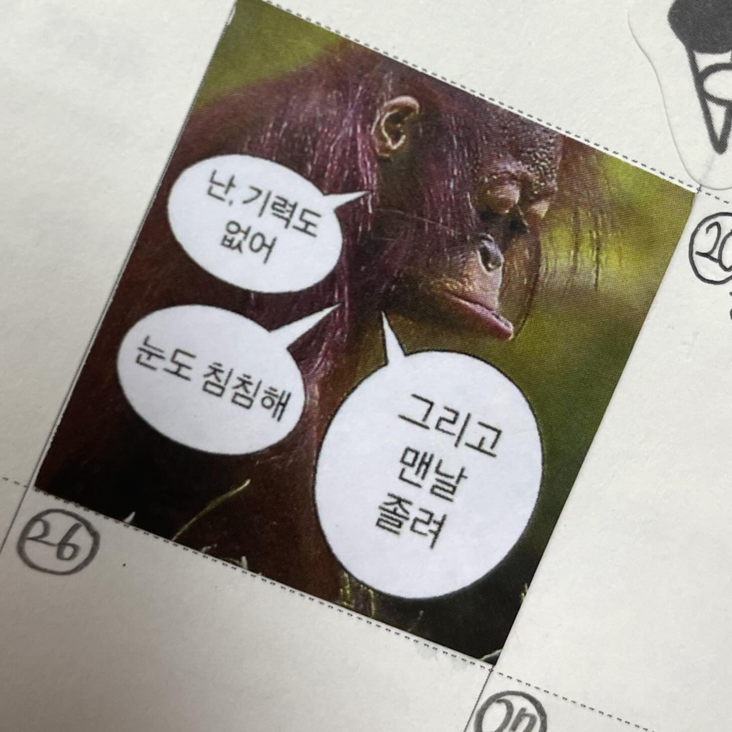 과거의 내 다이어리… 이것이 바이오리듬..?