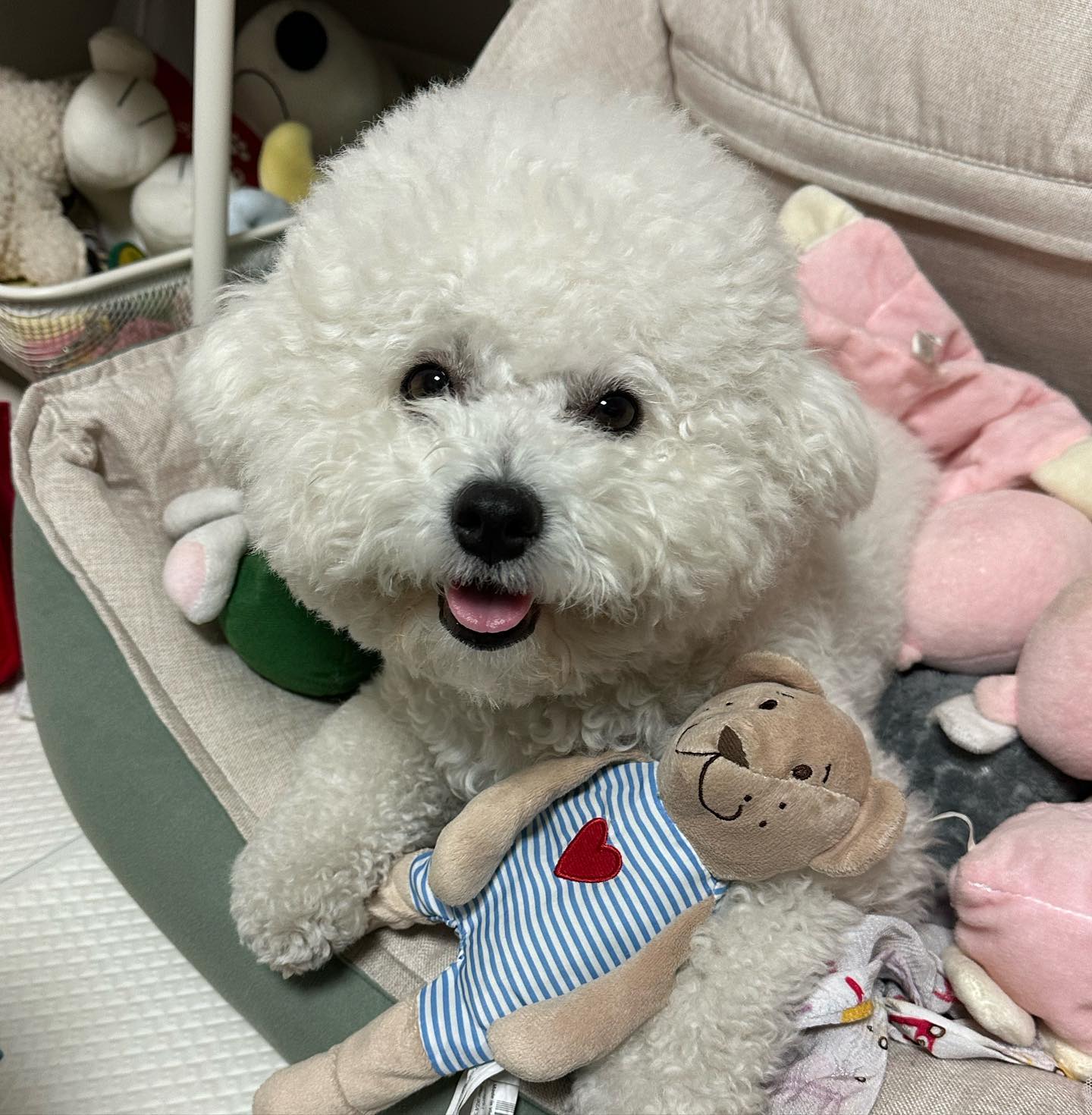 인형 친규들 사이에 인형인척하기