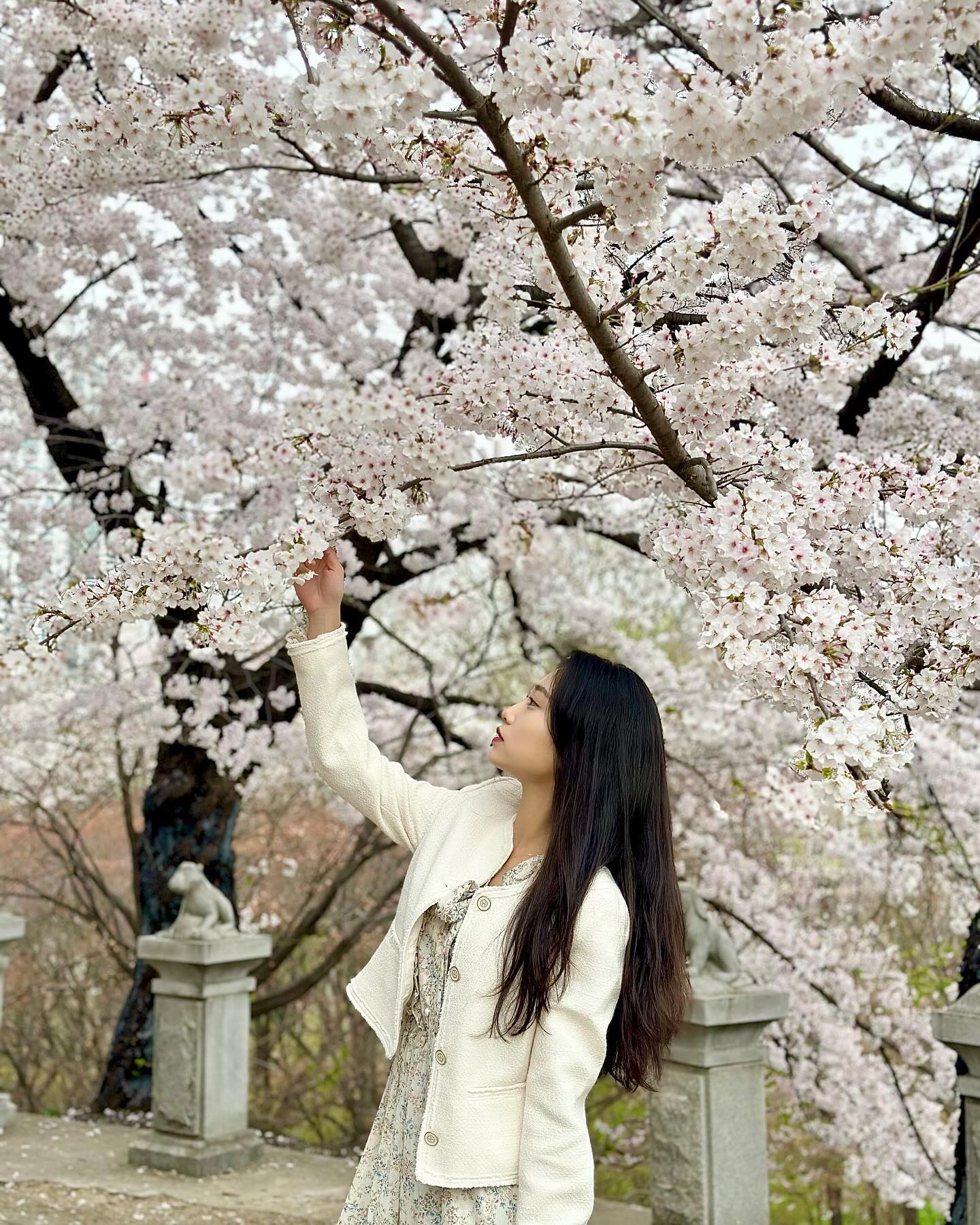 내가 좋아하는 #벚꽃길 🌸